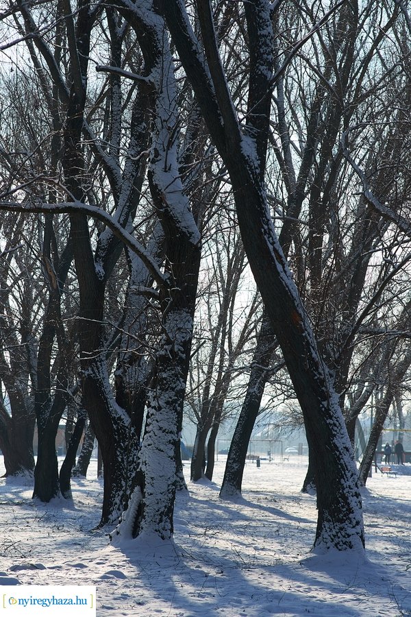 Téli séta a Bujtosi Városligetben 20220109