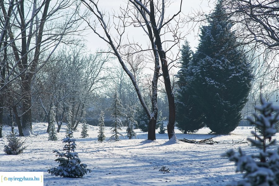 Téli séta a Bujtosi Városligetben 20220109
