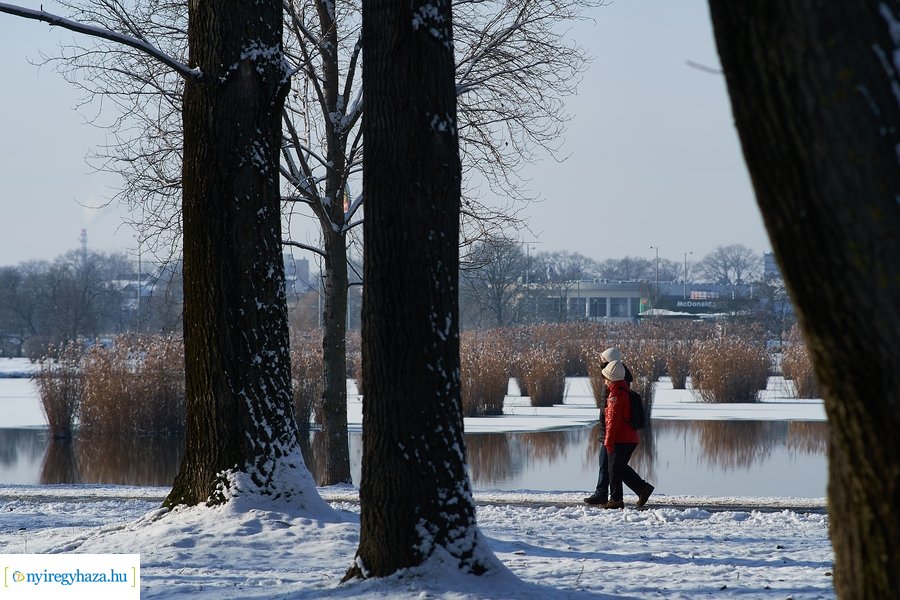 Téli séta a Bujtosi Városligetben 20220109