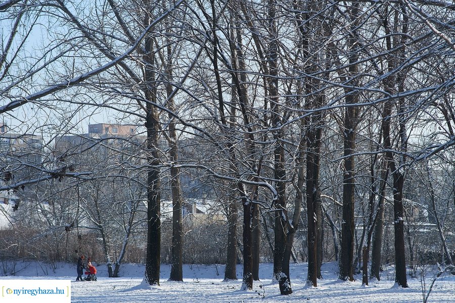 Téli séta a Bujtosi Városligetben 20220109
