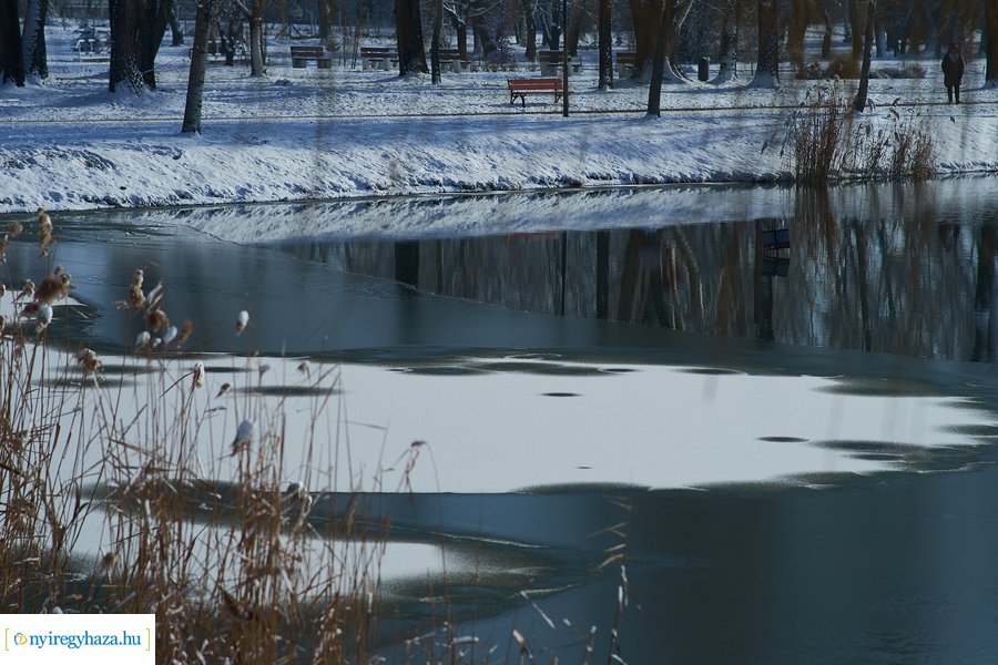 Téli séta a Bujtosi Városligetben 20220109