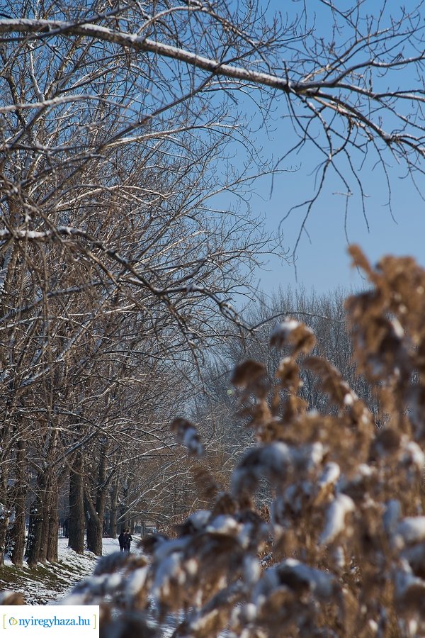 Téli séta a Bujtosi Városligetben 20220109