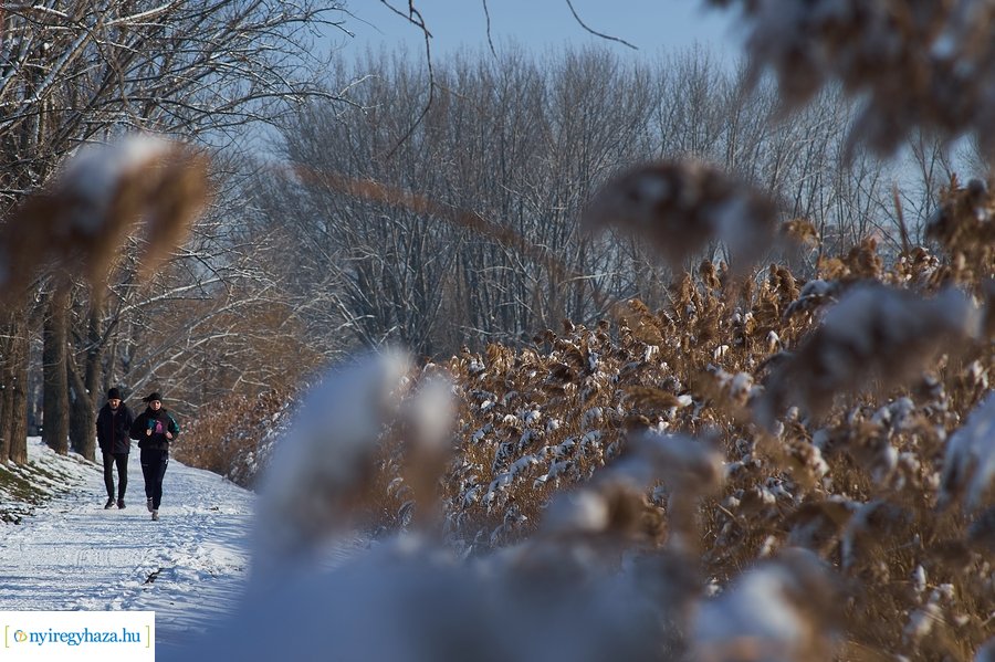 Téli séta a Bujtosi Városligetben 20220109