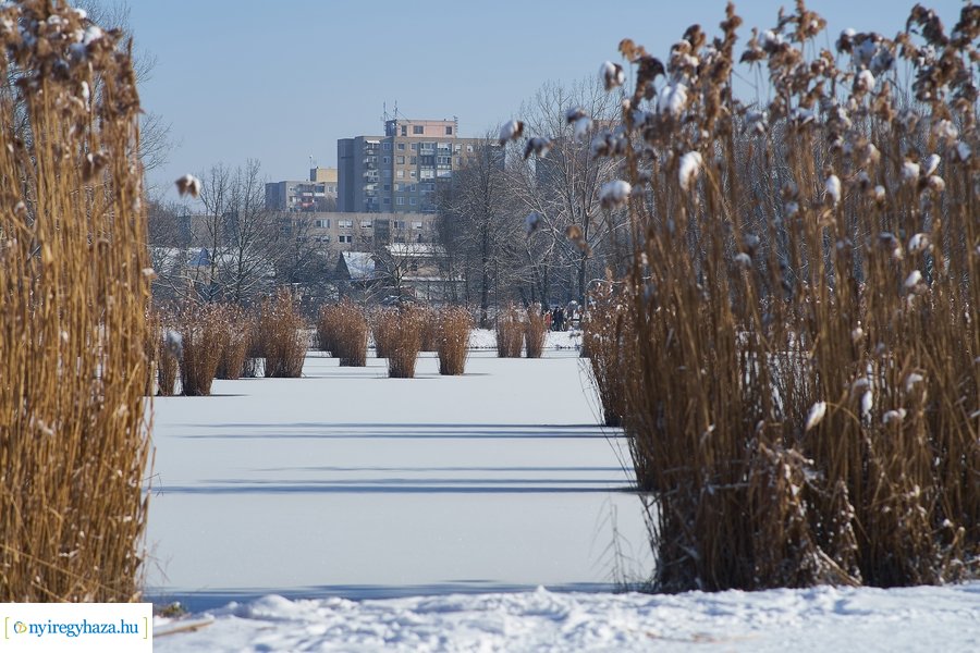 Téli séta a Bujtosi Városligetben 20220109