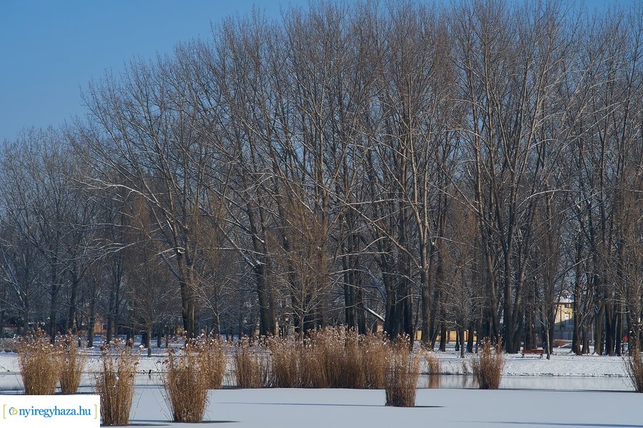 Téli séta a Bujtosi Városligetben 20220109