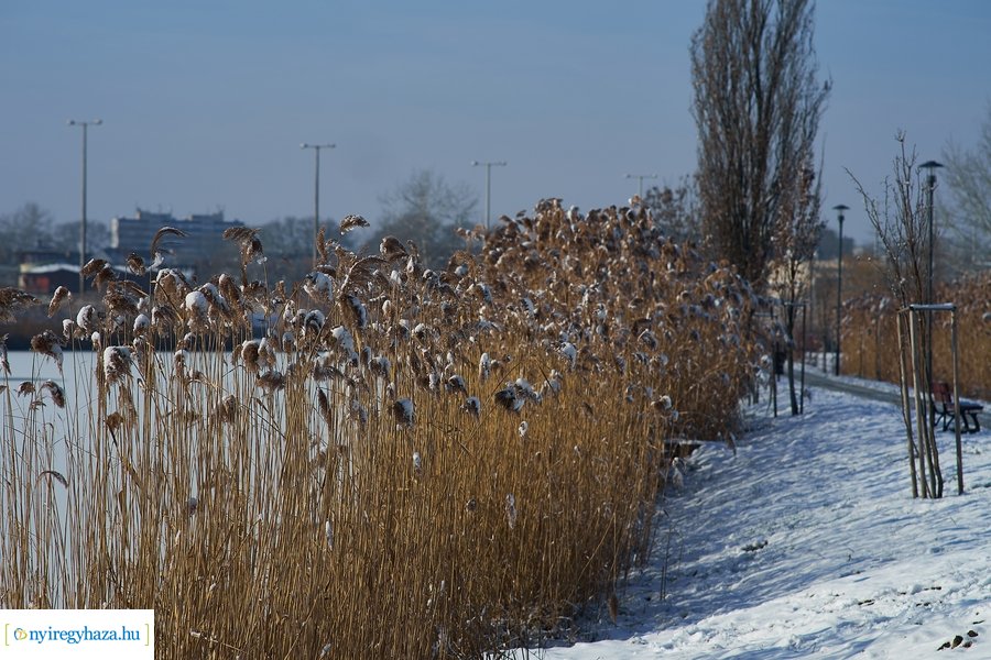 Téli séta a Bujtosi Városligetben 20220109