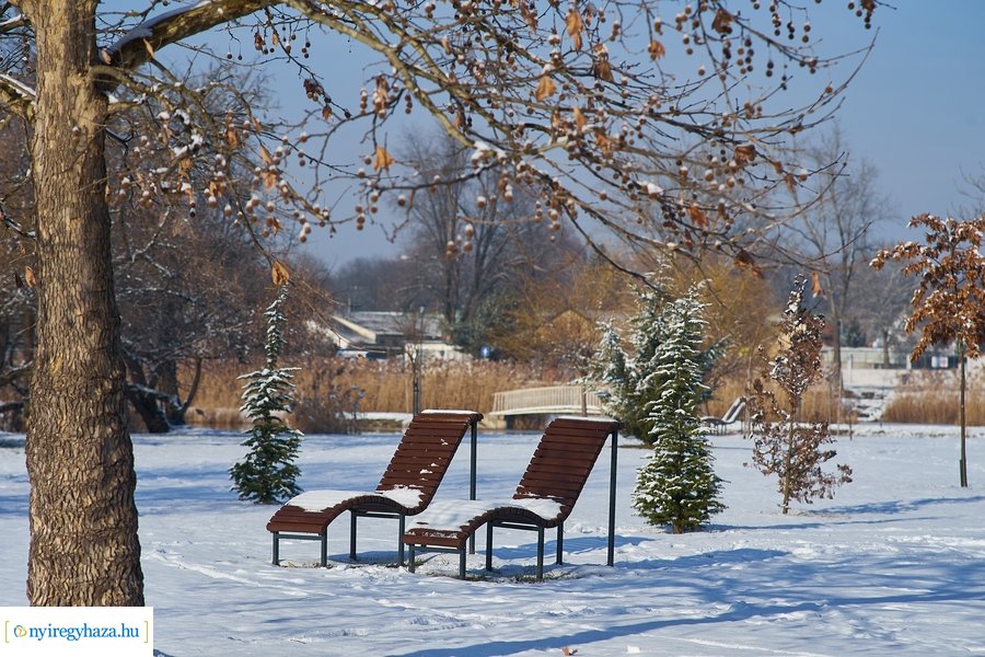 Téli séta a Bujtosi Városligetben 20220109