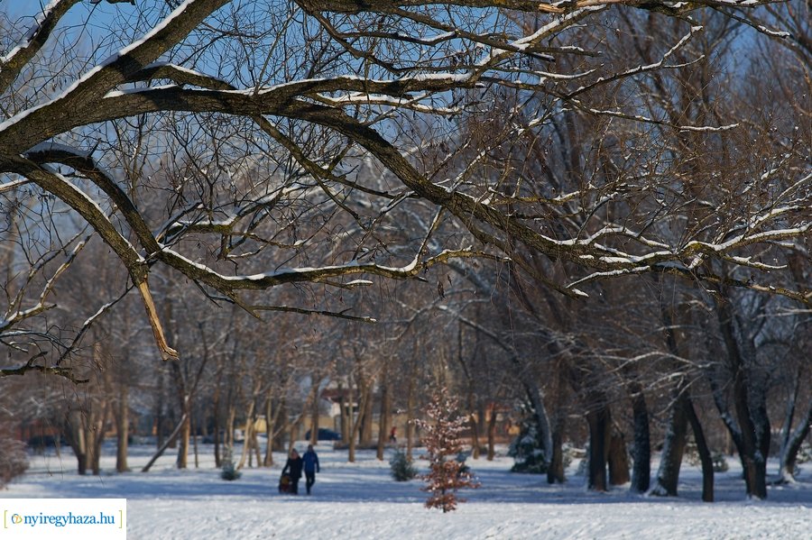 Téli séta a Bujtosi Városligetben 20220109