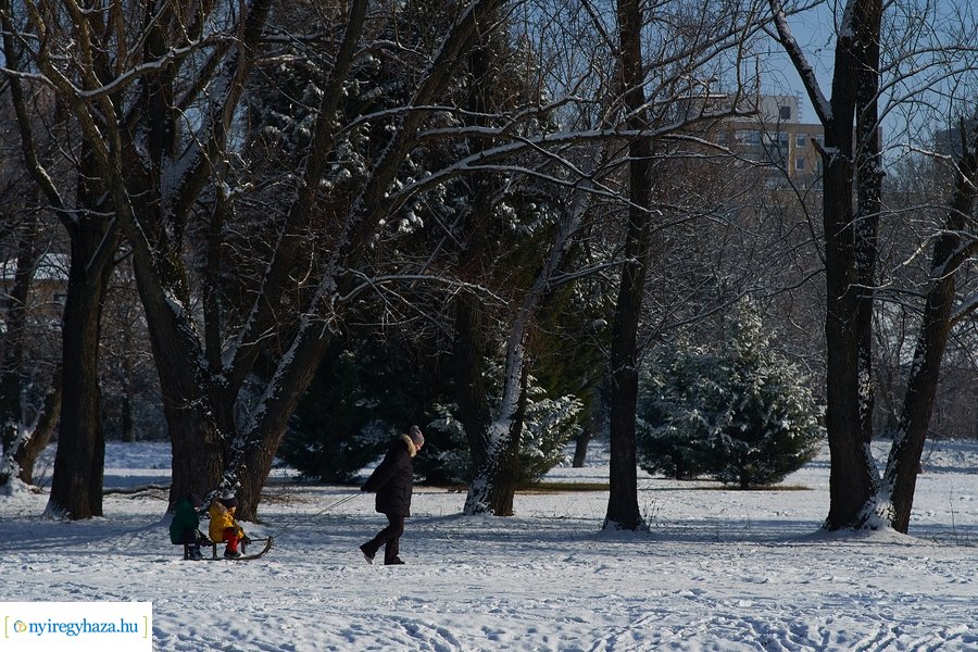 Téli séta a Bujtosi Városligetben 20220109