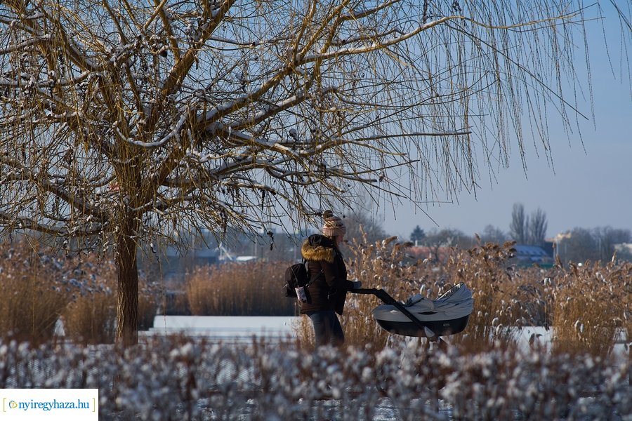 Téli séta a Bujtosi Városligetben 20220109