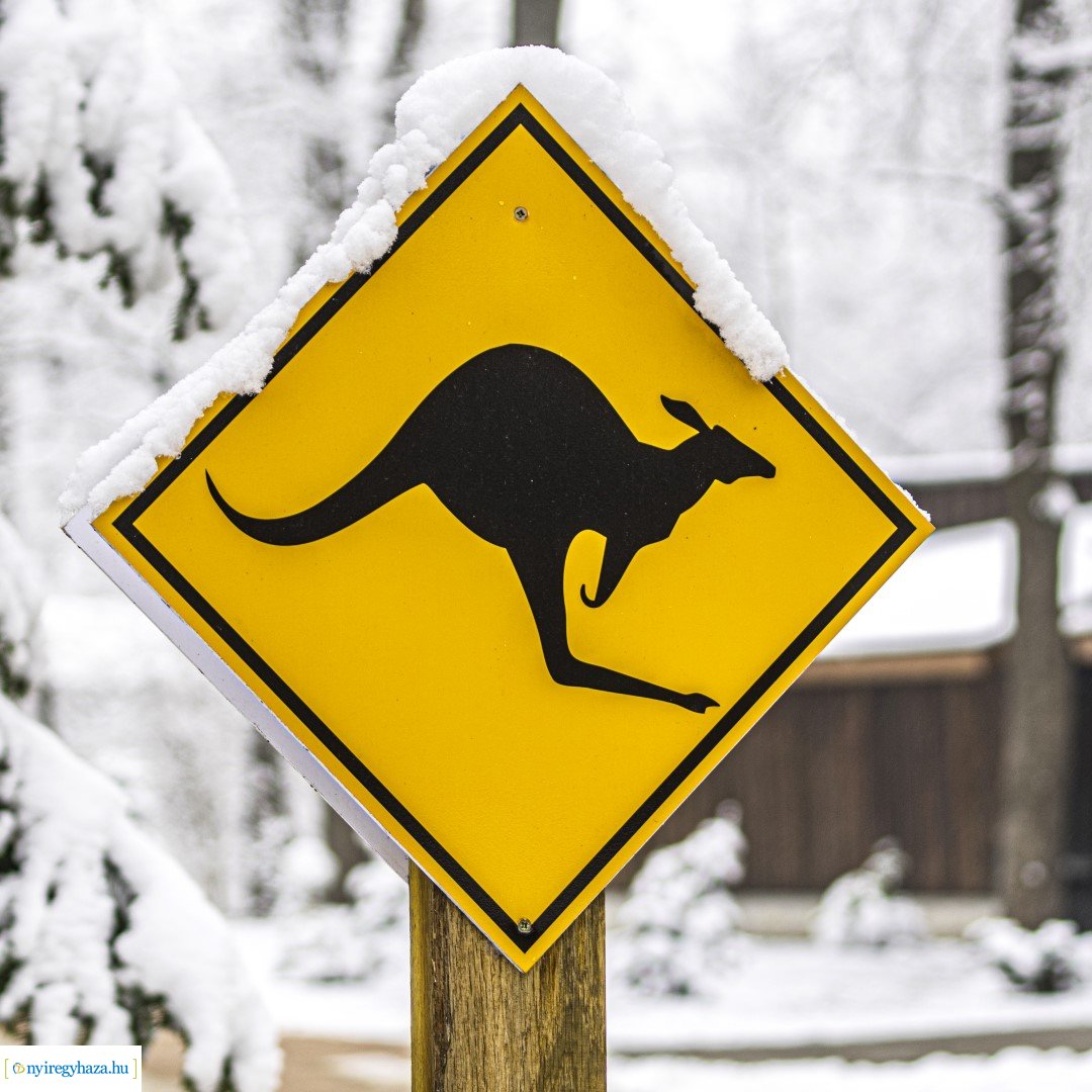 Téli séta az Állatparkban