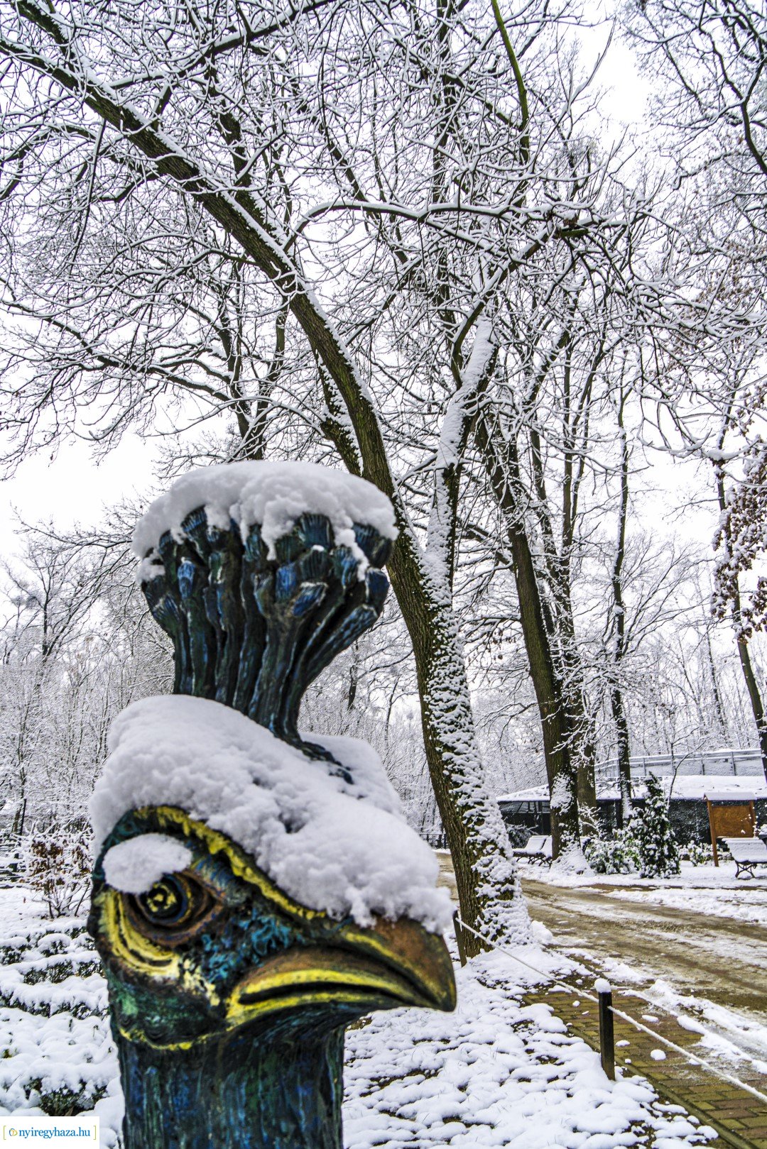 Téli séta az Állatparkban