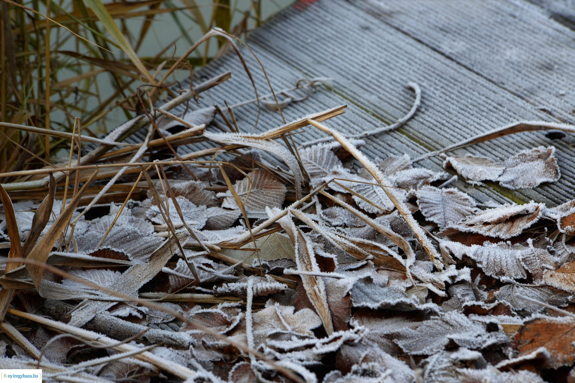 Téliesre változott Sóstó