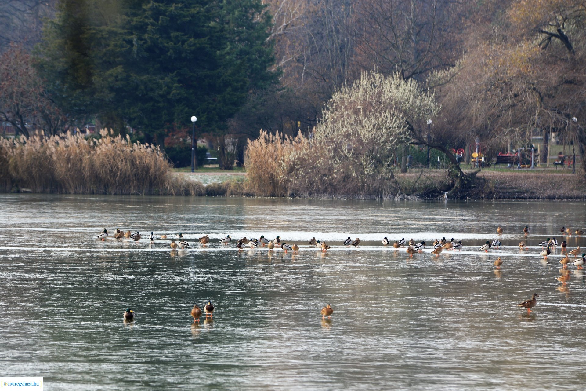 Téliesre változott Sóstó