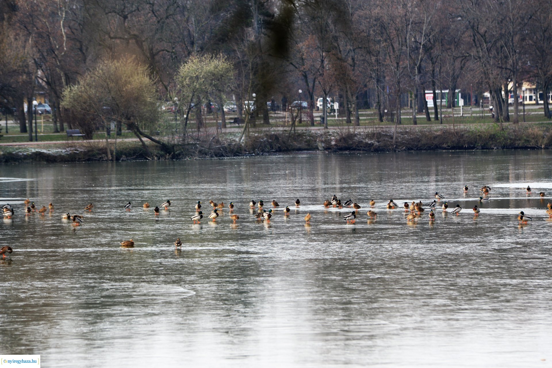 Téliesre változott Sóstó