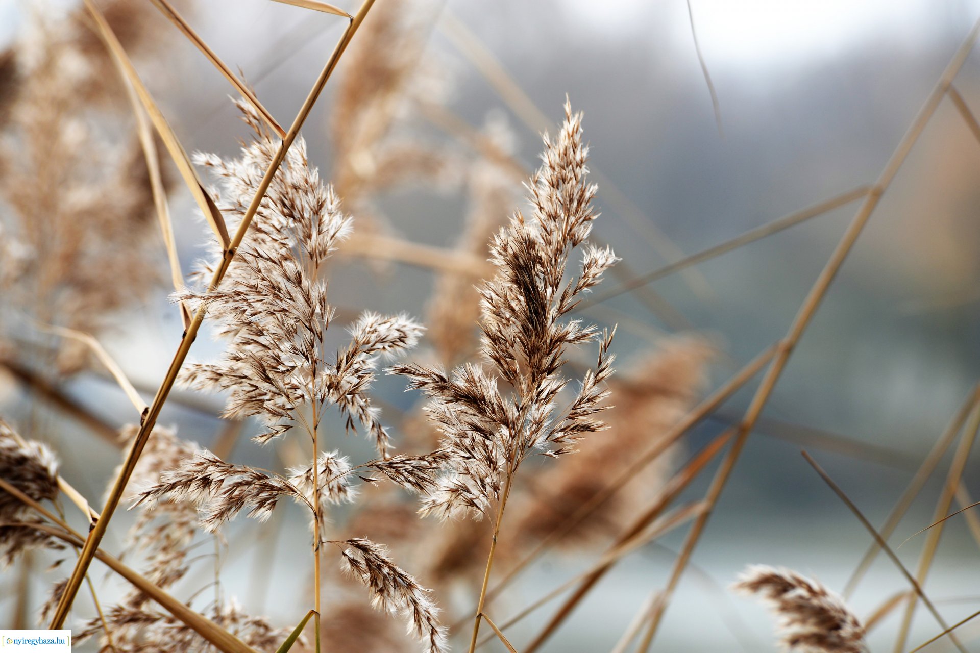 Téliesre változott Sóstó