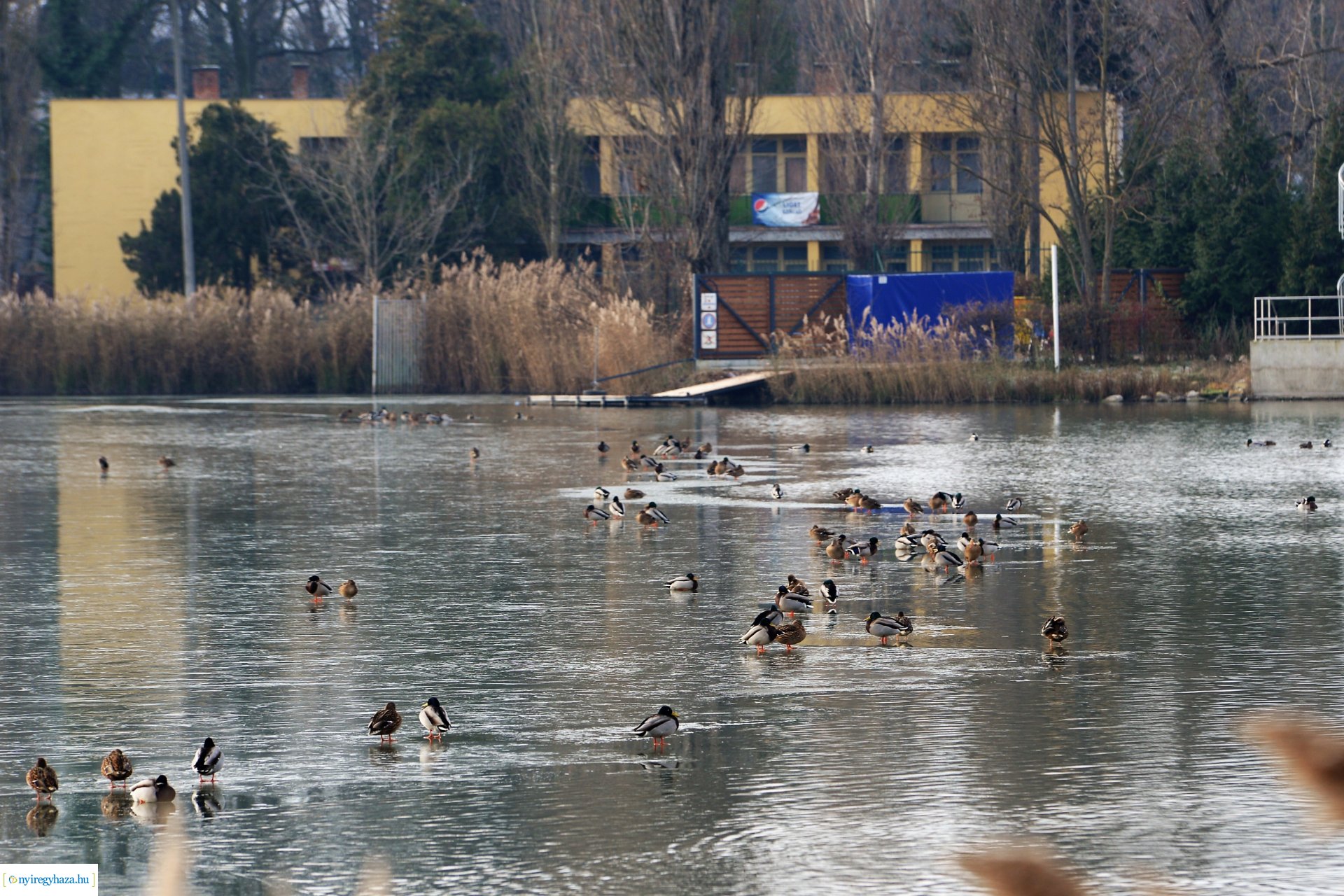 Téliesre változott Sóstó