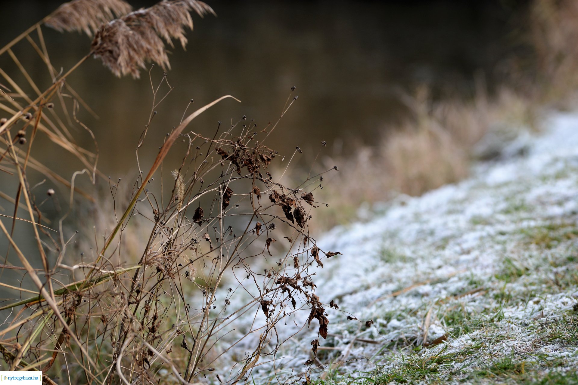 Téliesre változott Sóstó