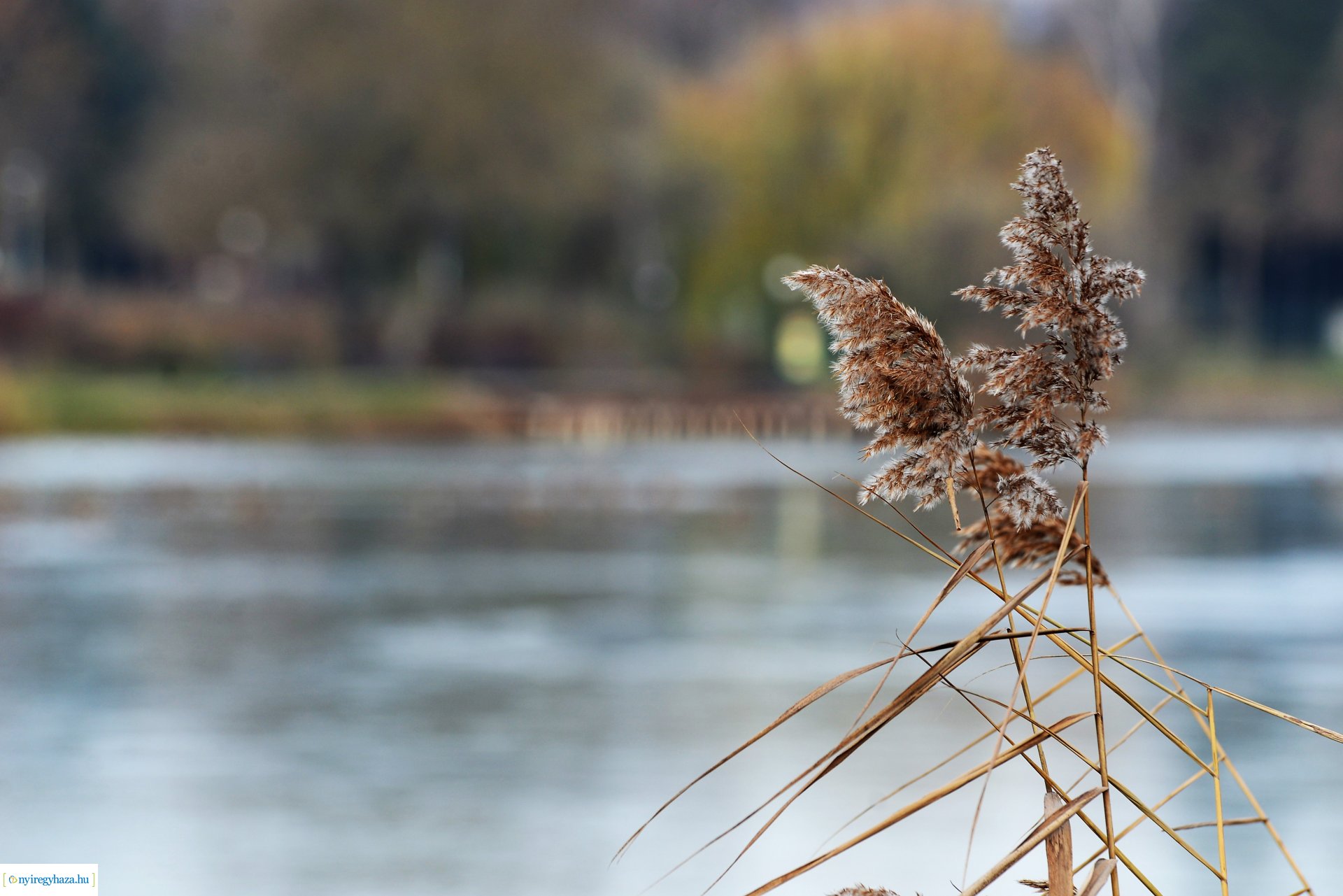 Téliesre változott Sóstó