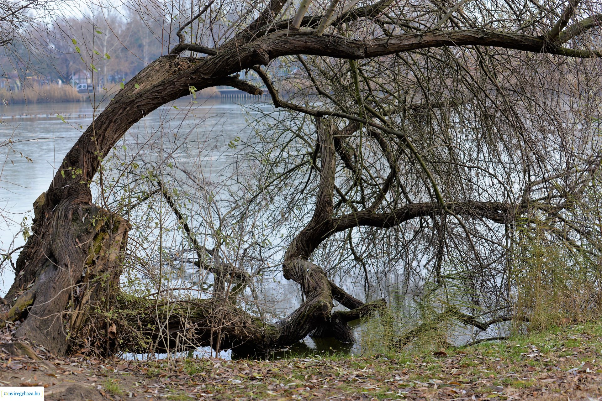 Téliesre változott Sóstó