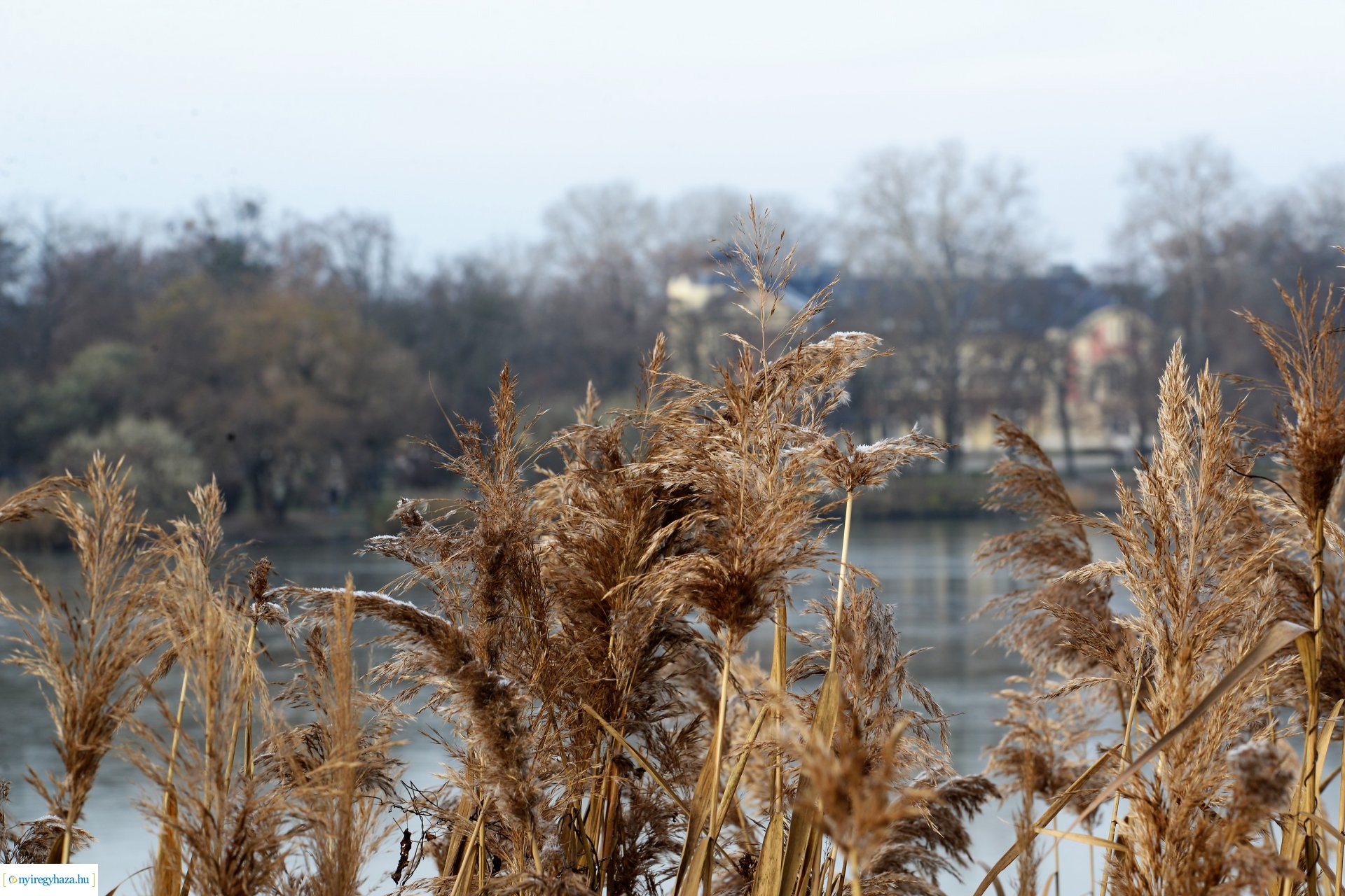 Téliesre változott Sóstó