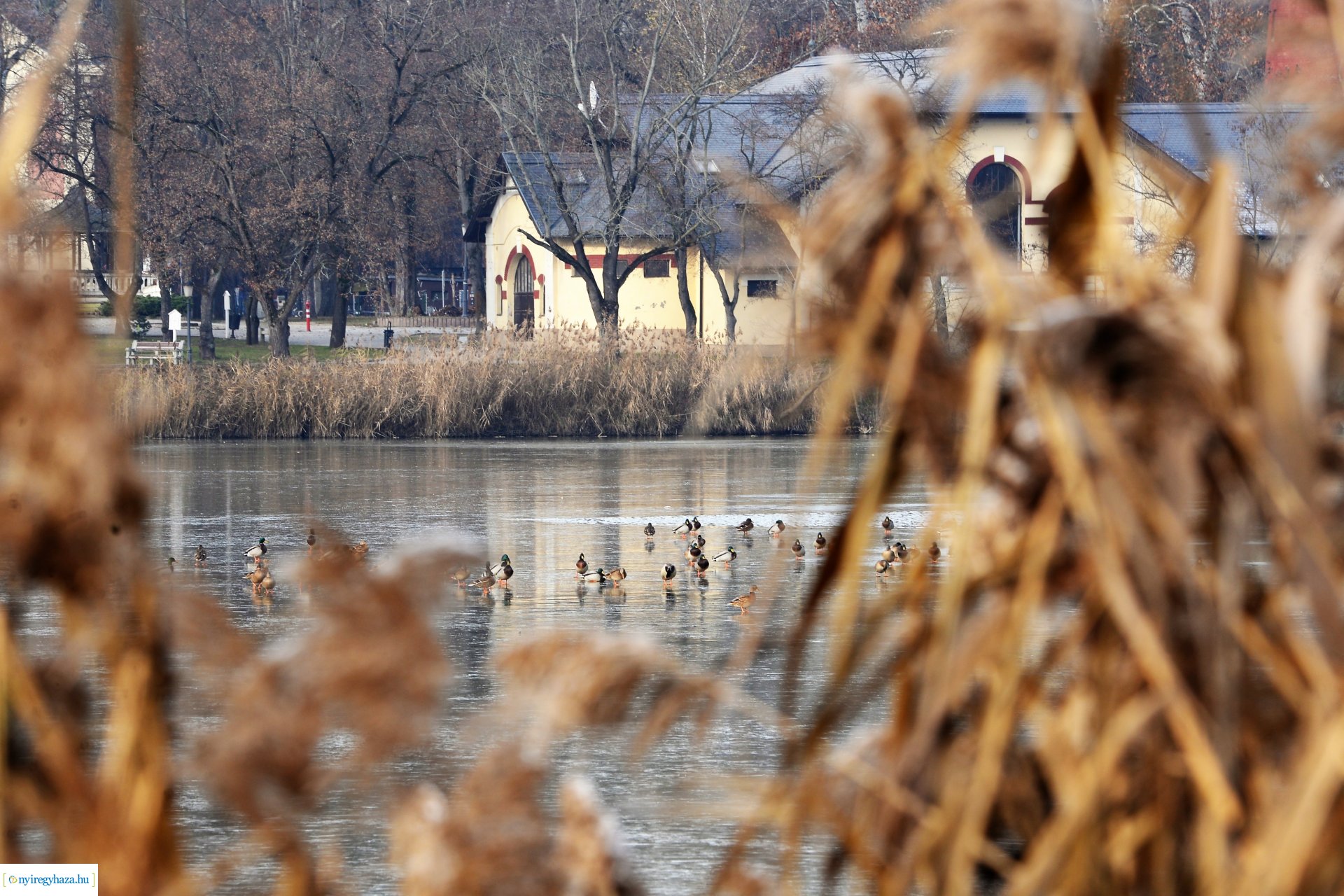 Téliesre változott Sóstó