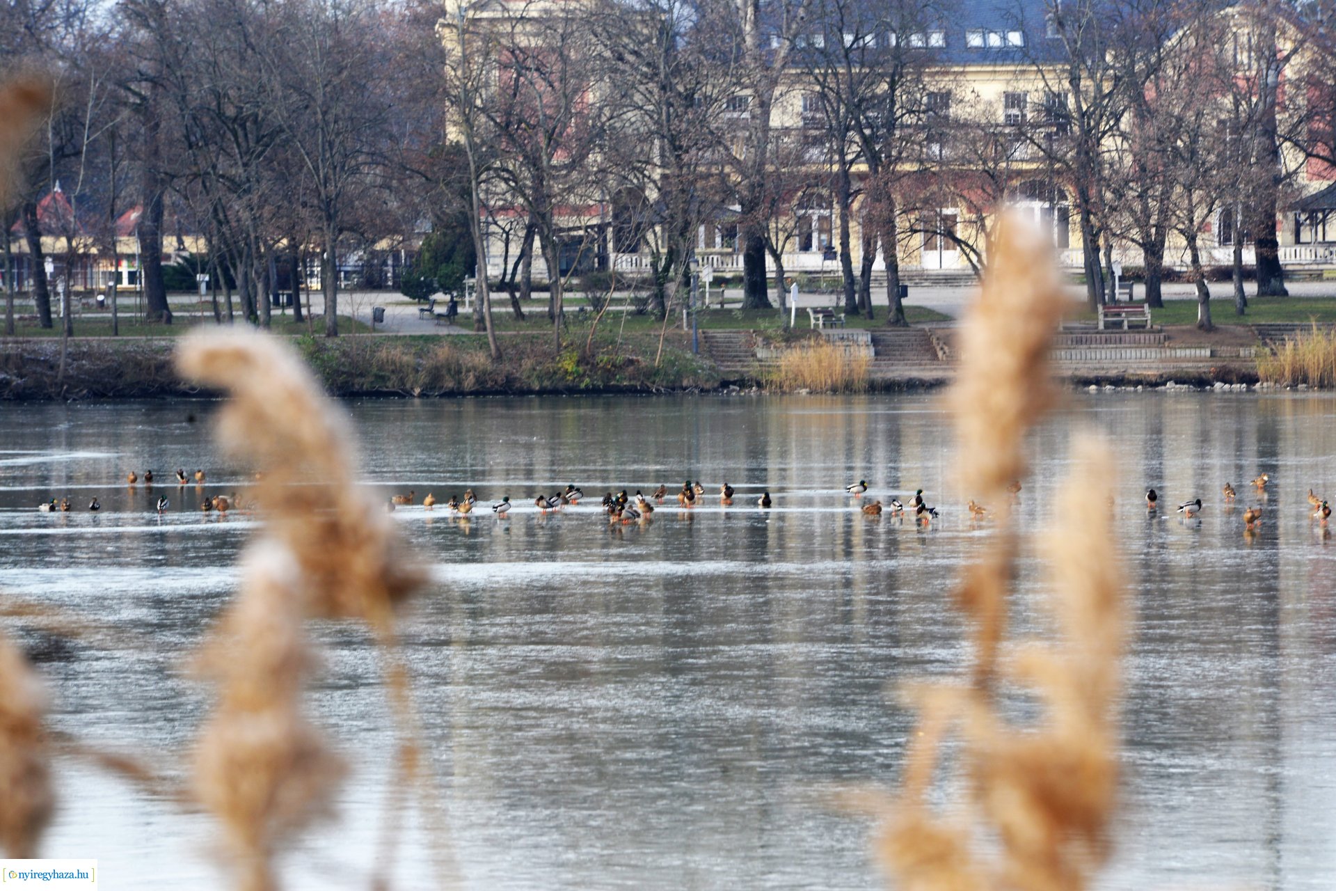 Téliesre változott Sóstó