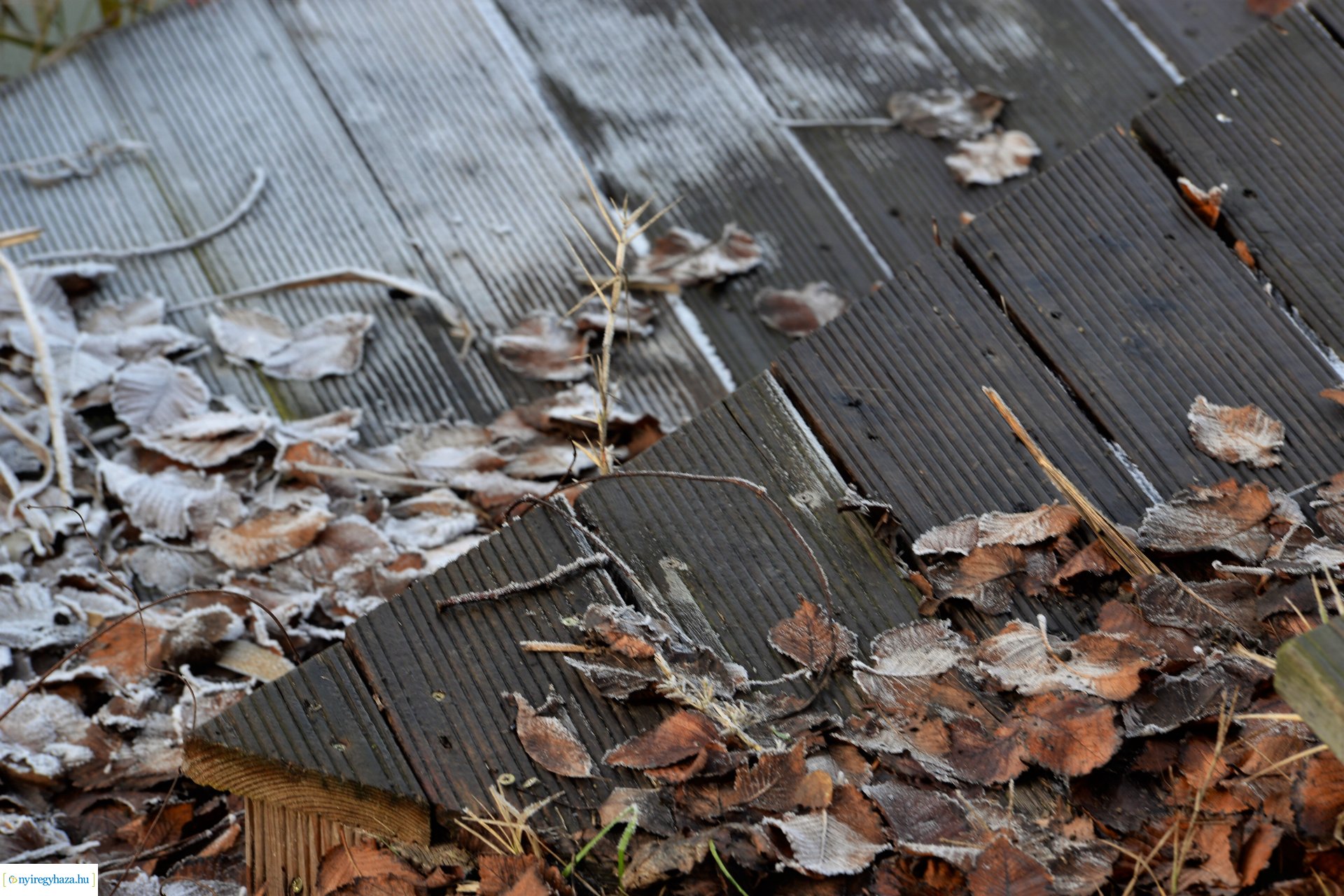 Téliesre változott Sóstó