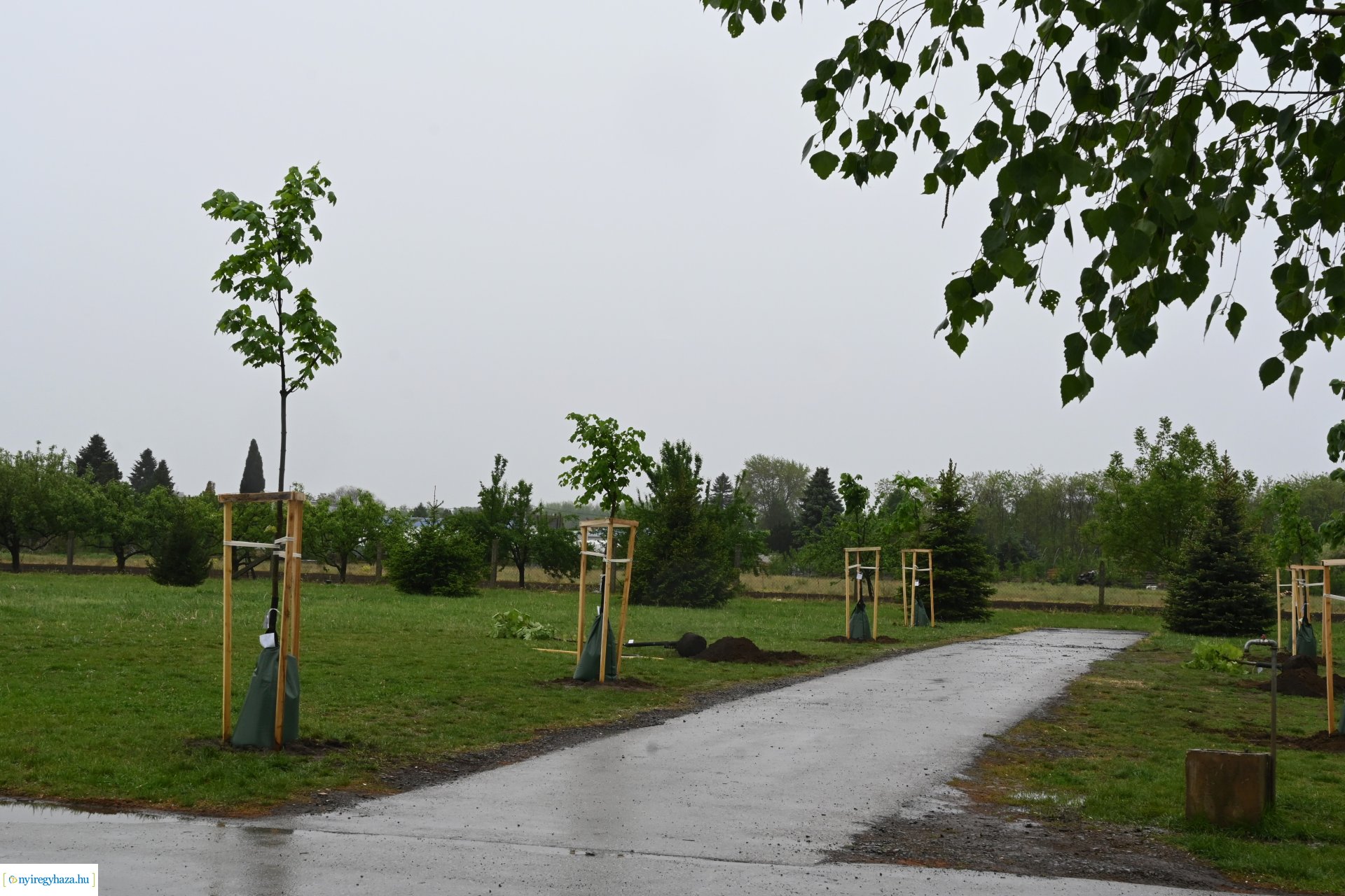 Temetői fejlesztések 2024-ben - a sajtó munkatársai tájékozódtak a beruházások megkezdéséről