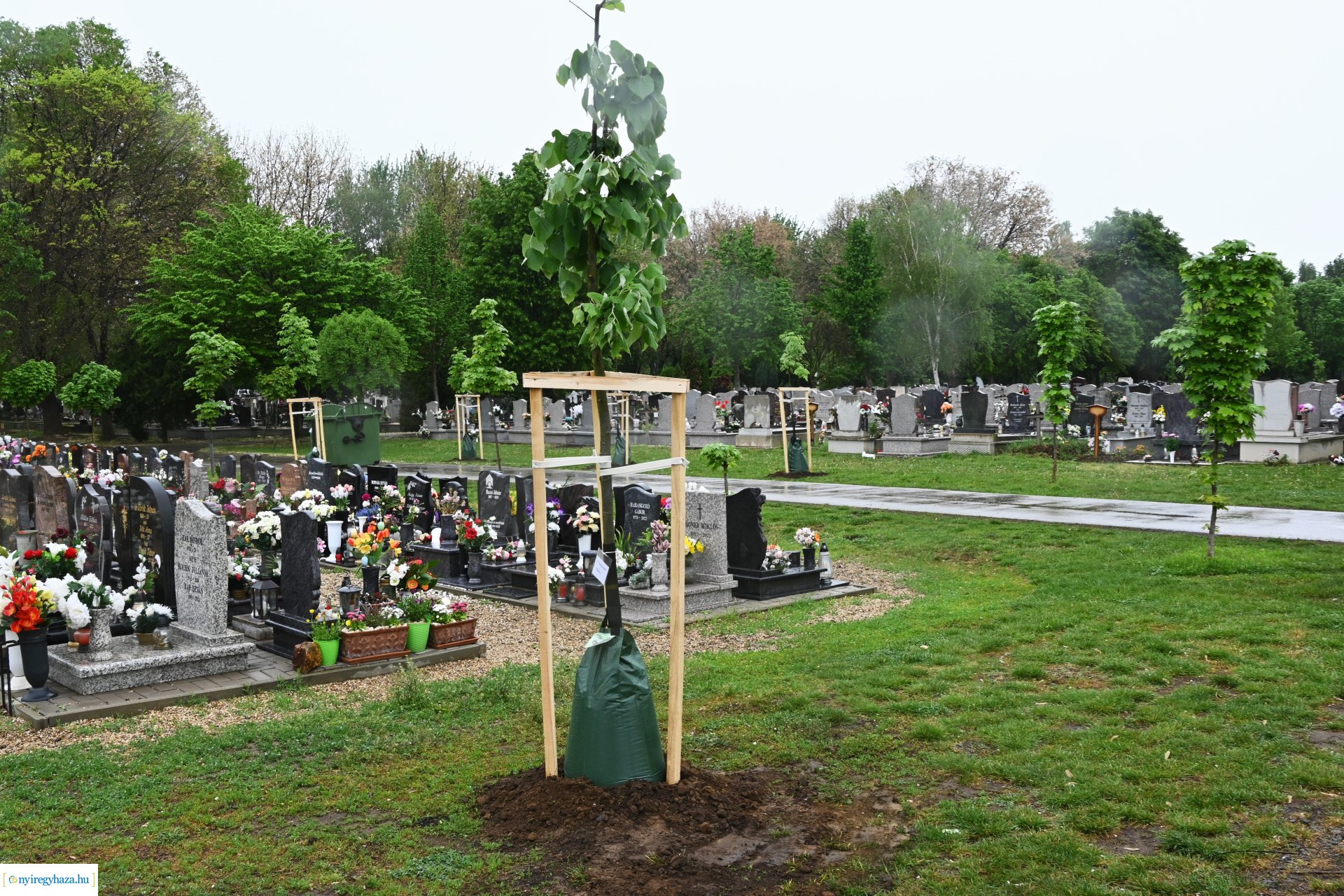 Temetői fejlesztések 2024-ben - a sajtó munkatársai tájékozódtak a beruházások megkezdéséről