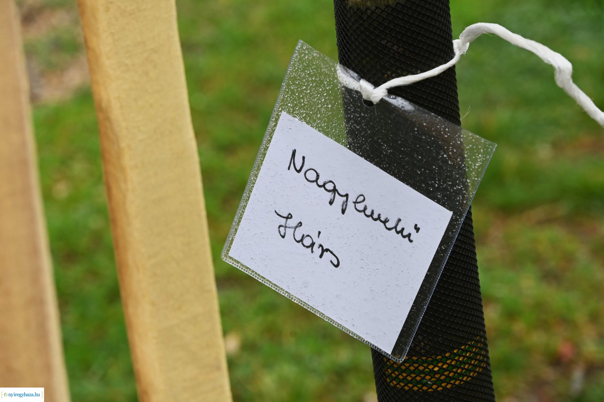 Temetői fejlesztések 2024-ben - a sajtó munkatársai tájékozódtak a beruházások megkezdéséről