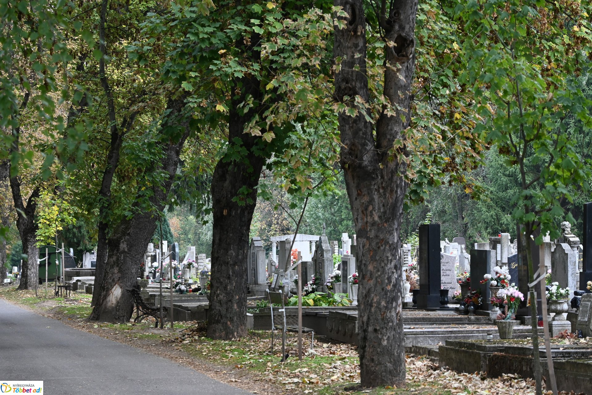 Temetői fejlesztések 2025-ben