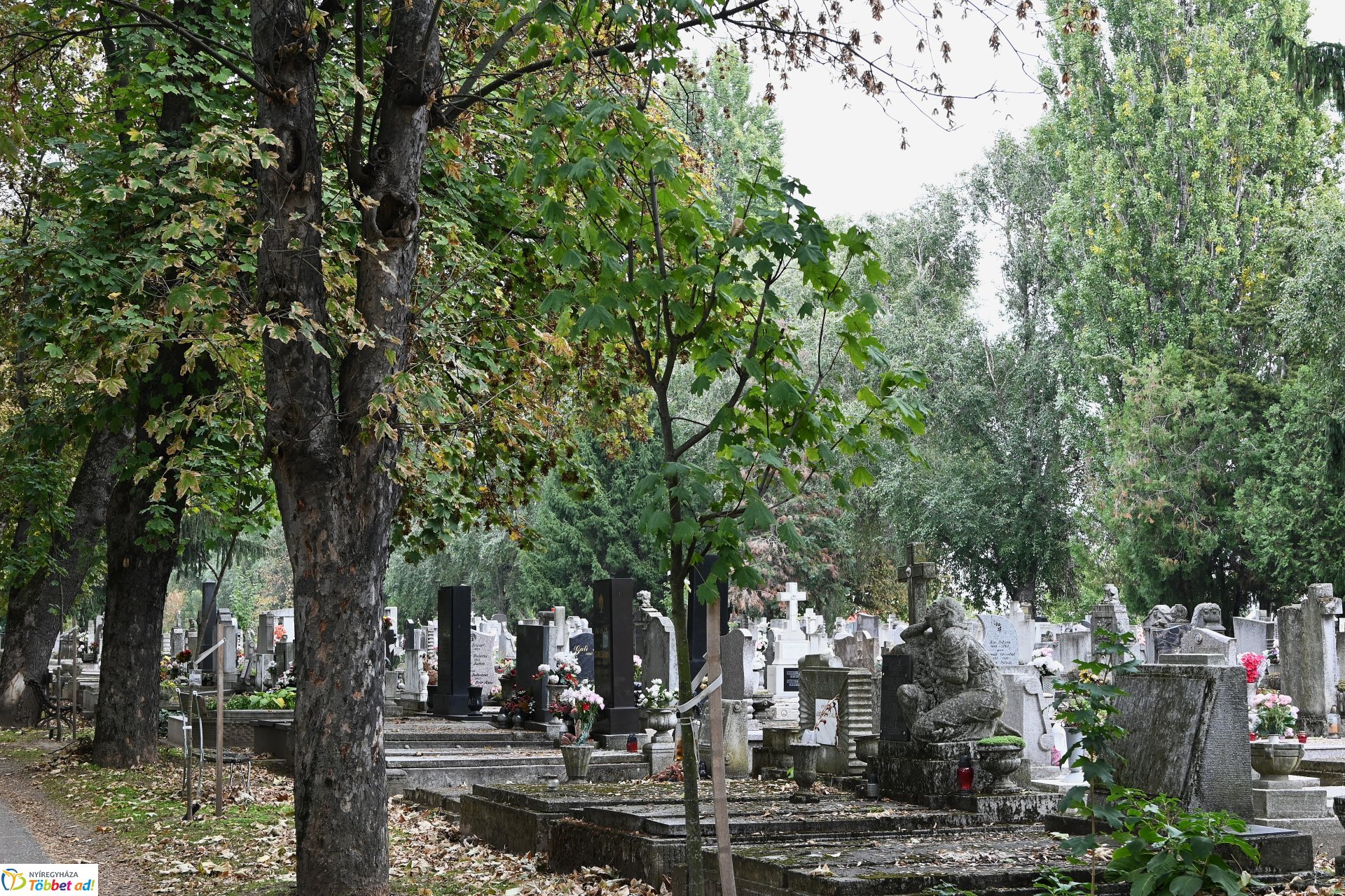 Temetői fejlesztések 2025-ben