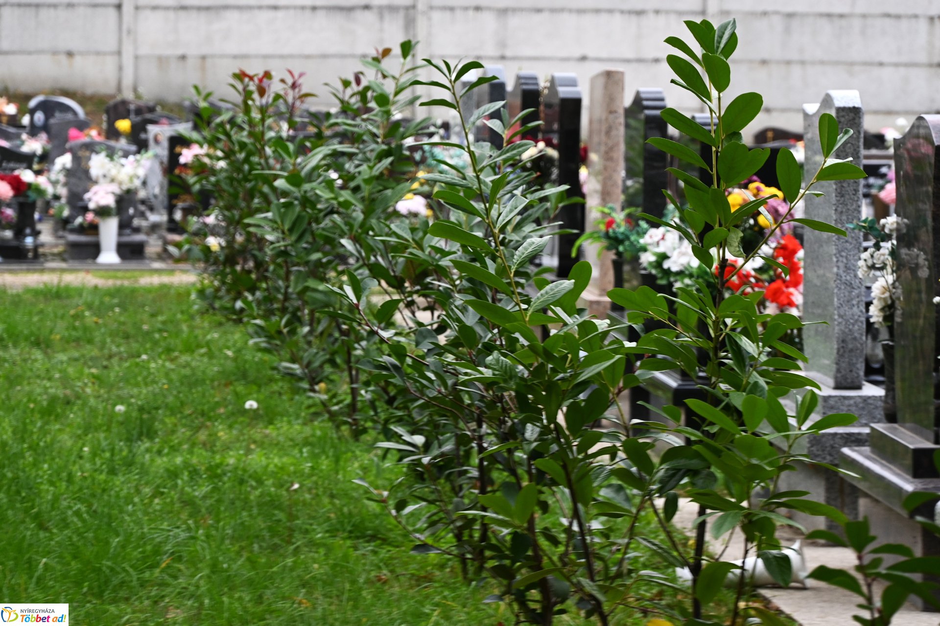 Temetői fejlesztések 2025-ben