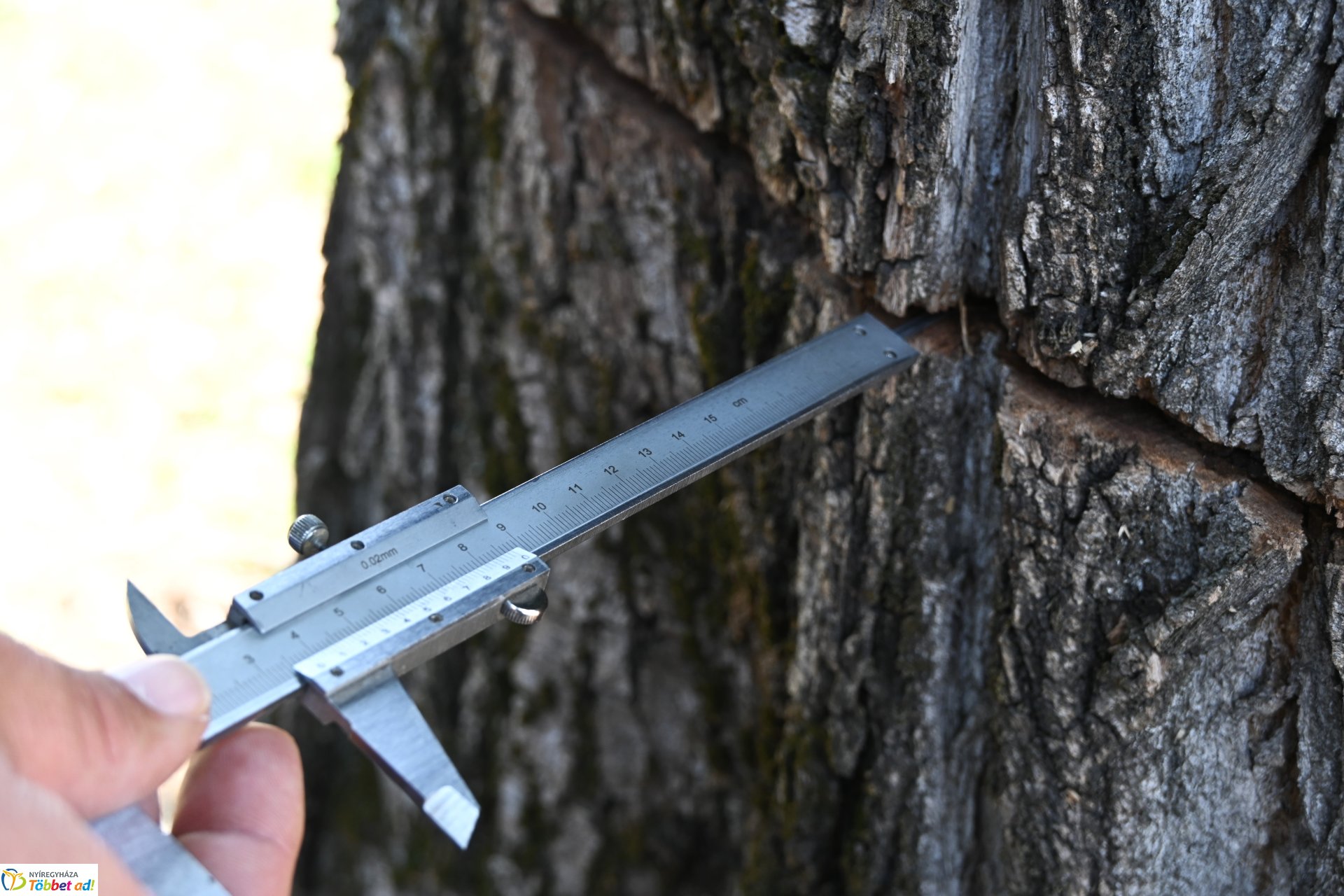 Temetői rongálás a Pazonyi úti sírkertben