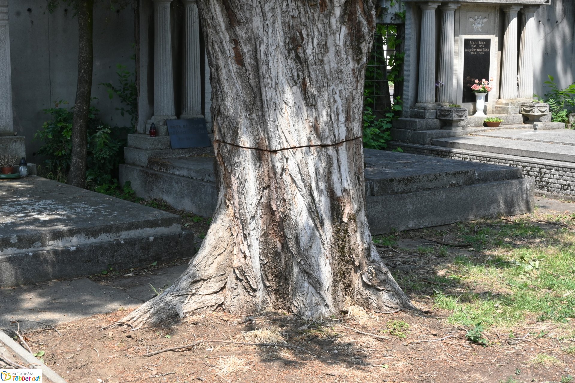 Temetői rongálás a Pazonyi úti sírkertben