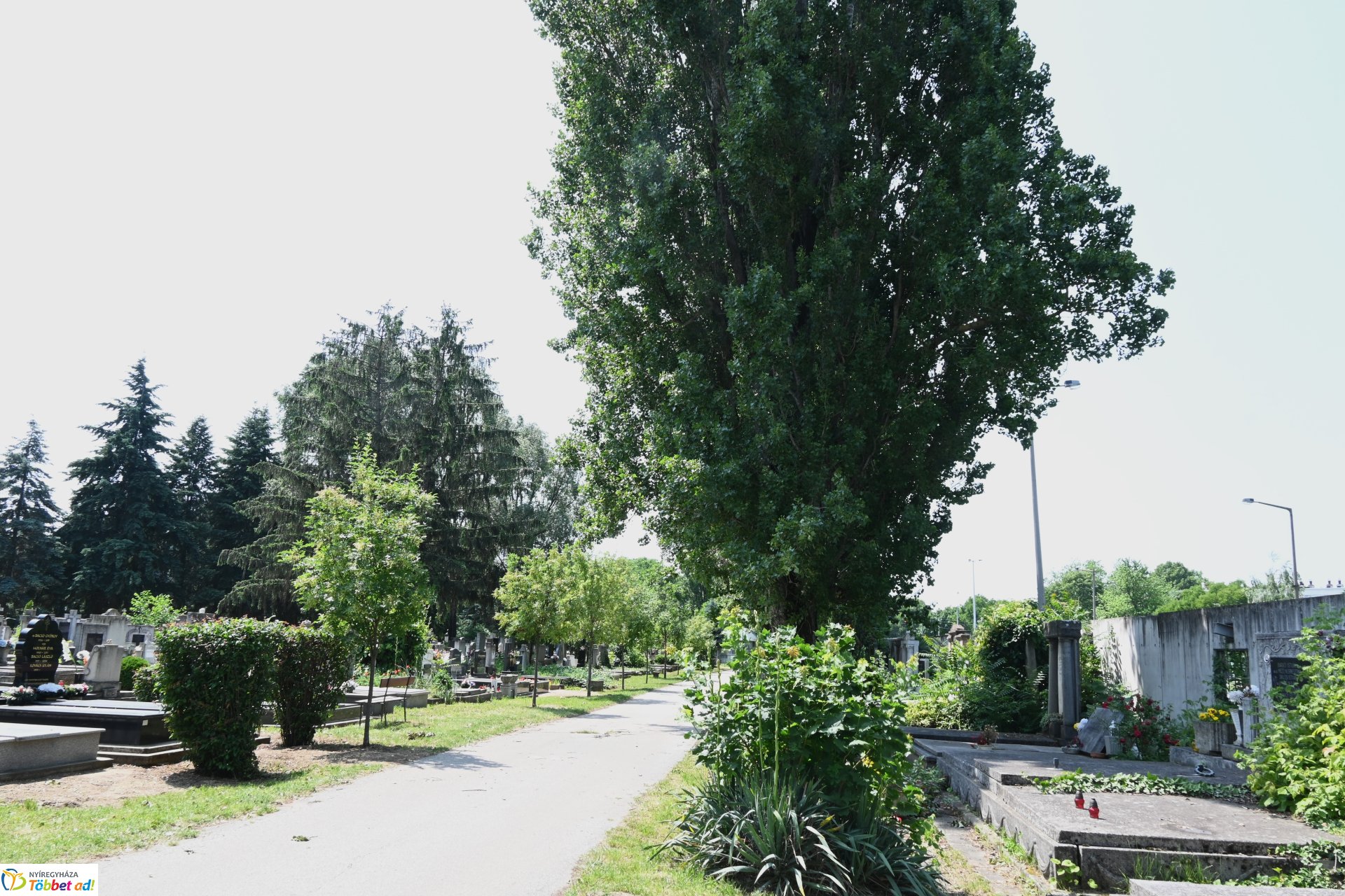Temetői rongálás a Pazonyi úti sírkertben