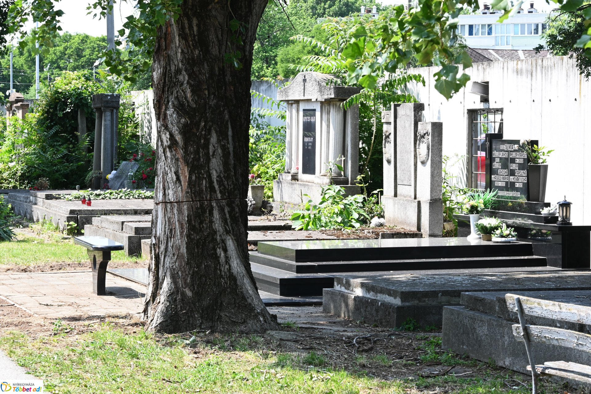 Temetői rongálás a Pazonyi úti sírkertben