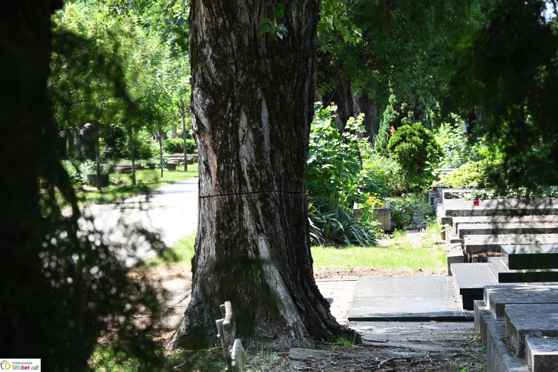 Temetői rongálás a Pazonyi úti sírkertben