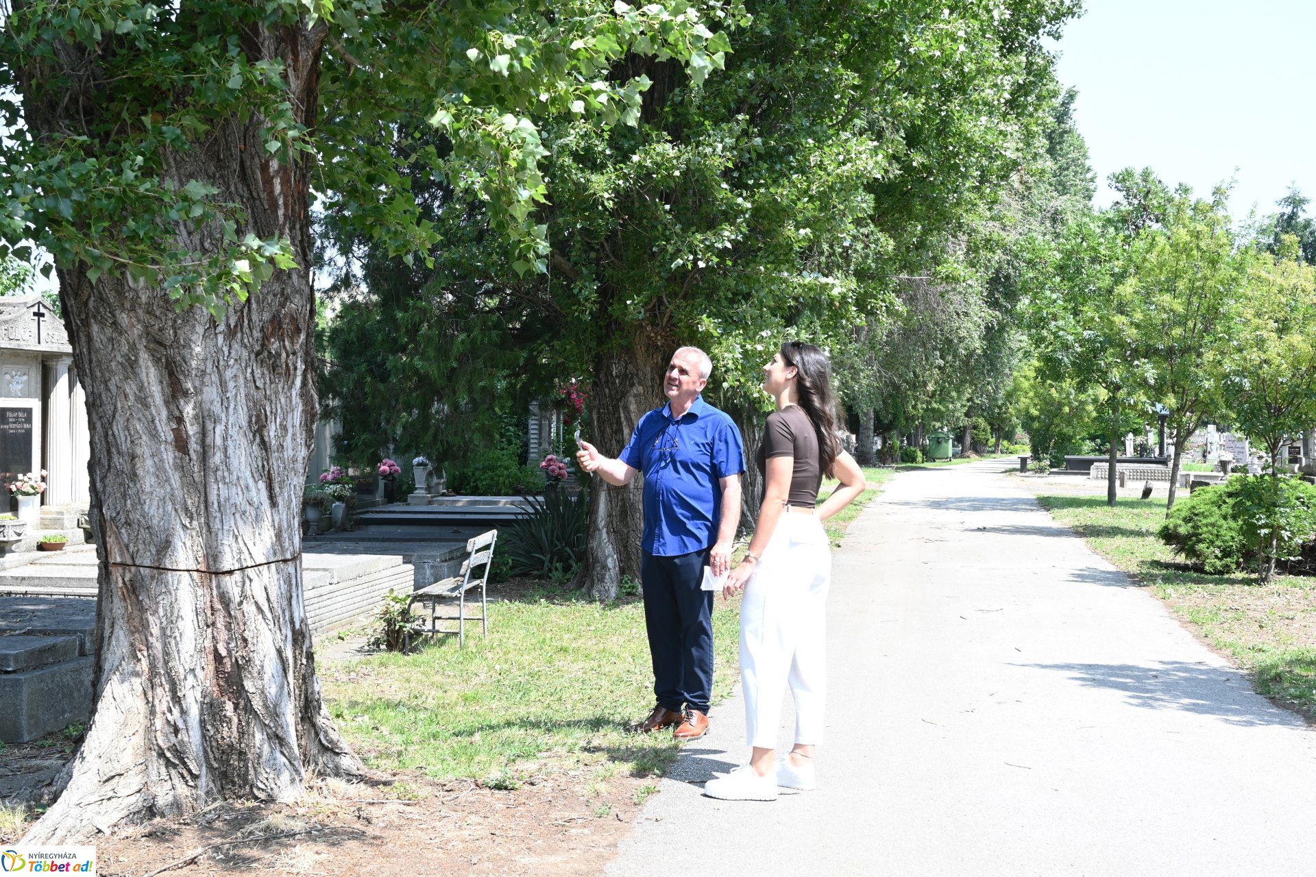 Temetői rongálás a Pazonyi úti sírkertben