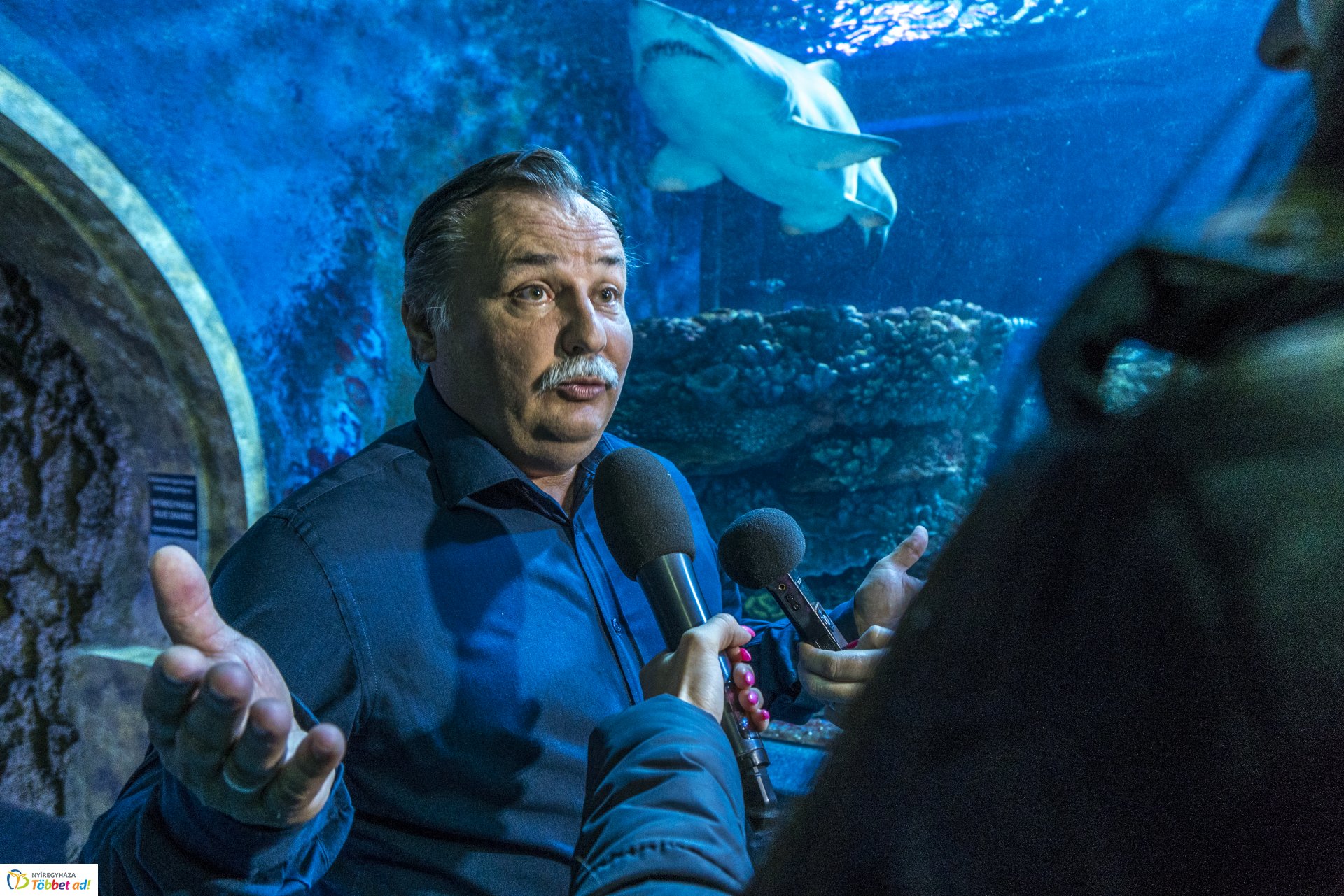 Tengerbiológusok a Nyíregyházi Állatparkban