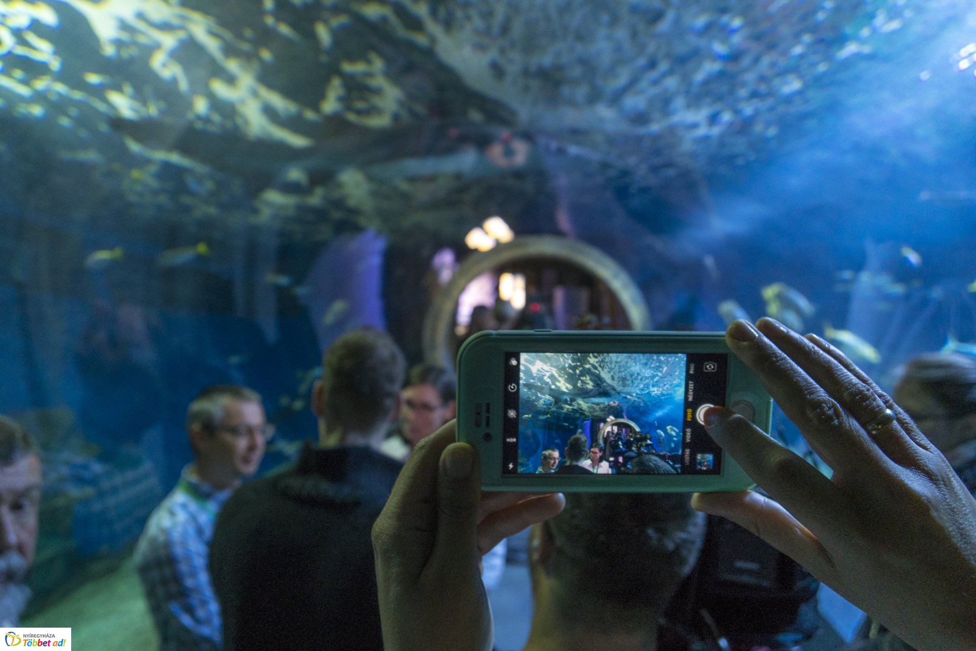 Tengerbiológusok a Nyíregyházi Állatparkban