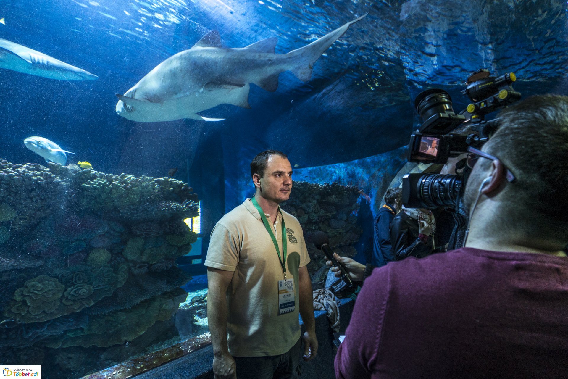 Tengerbiológusok a Nyíregyházi Állatparkban