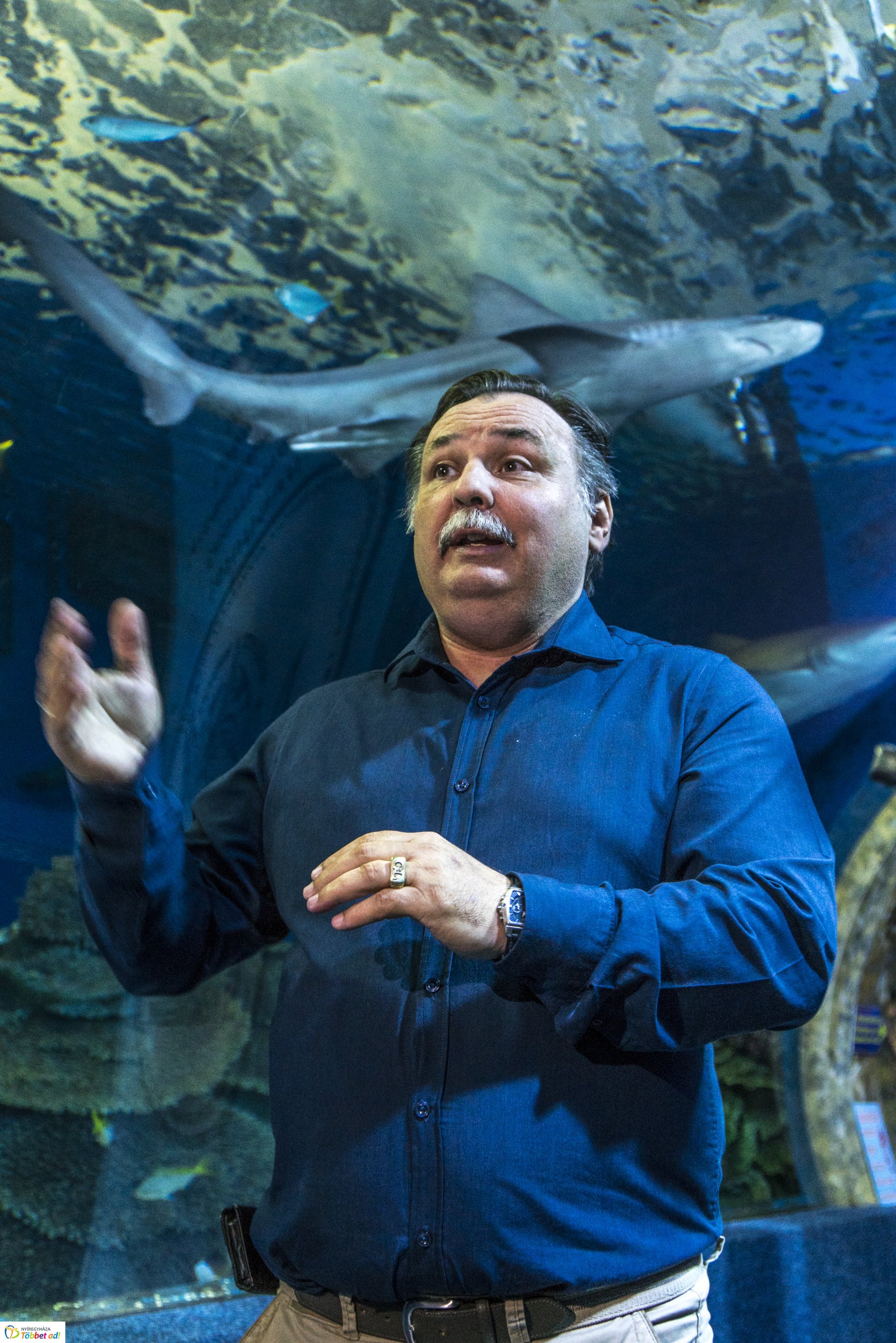 Tengerbiológusok a Nyíregyházi Állatparkban