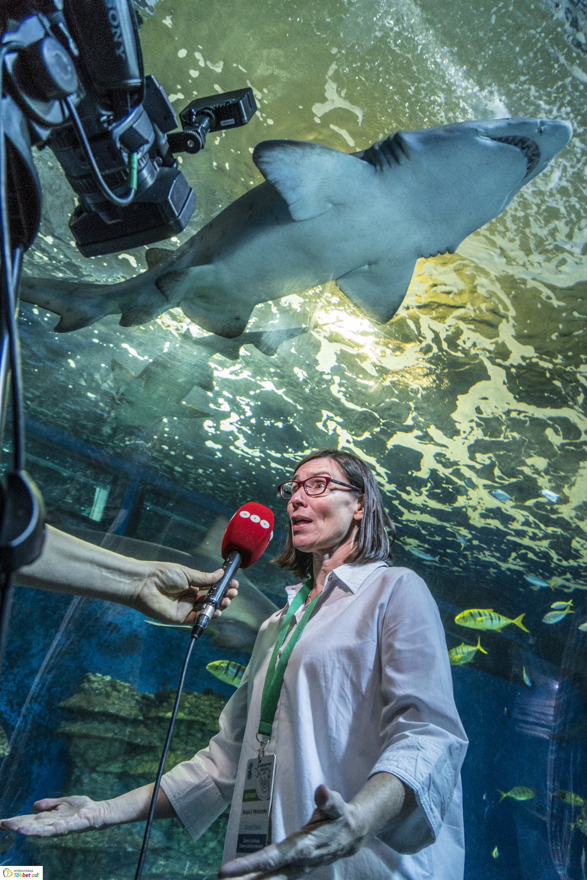 Tengerbiológusok a Nyíregyházi Állatparkban