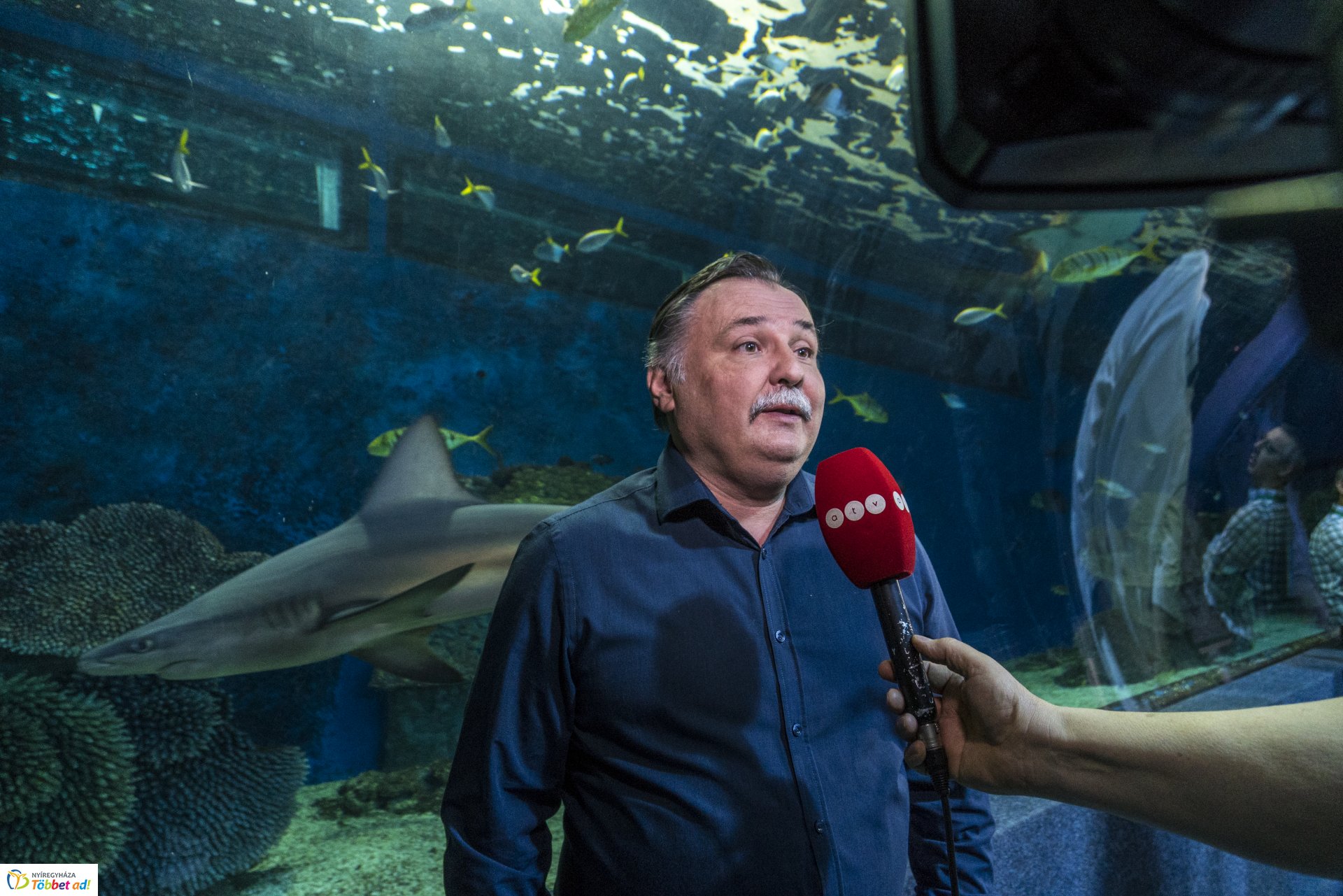 Tengerbiológusok a Nyíregyházi Állatparkban