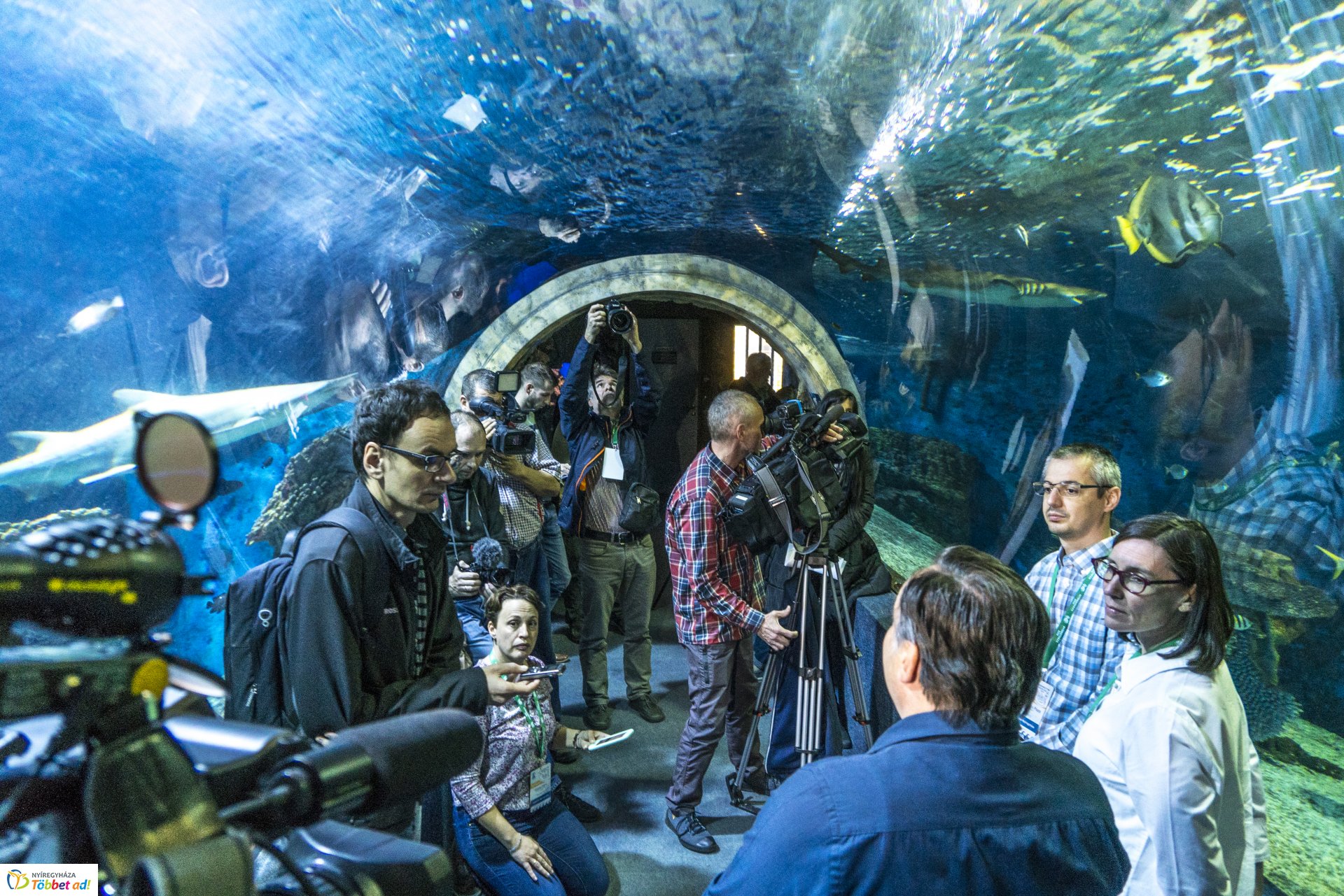 Tengerbiológusok a Nyíregyházi Állatparkban