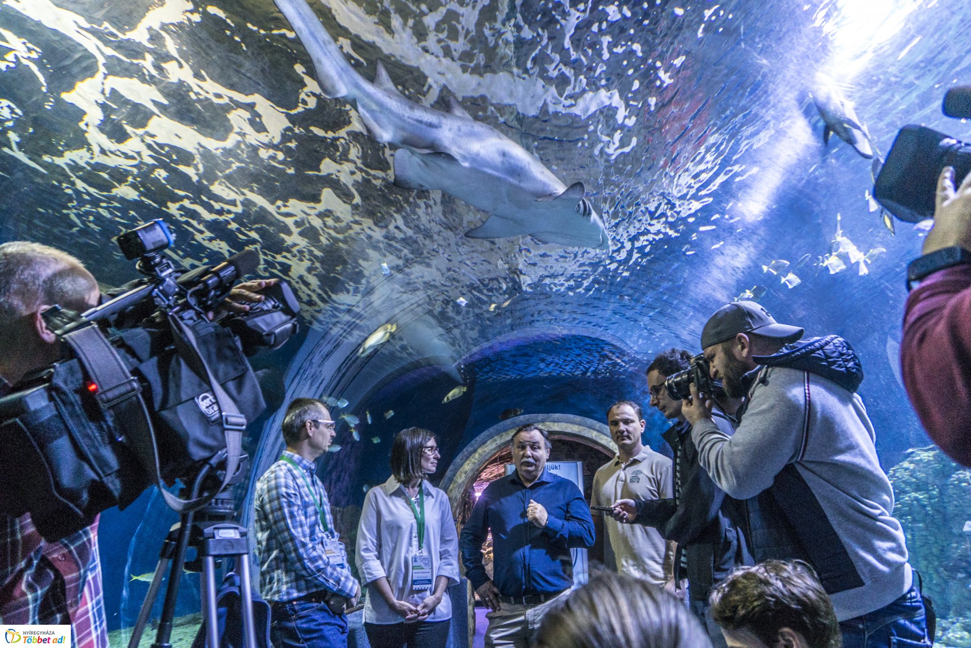 Tengerbiológusok a Nyíregyházi Állatparkban