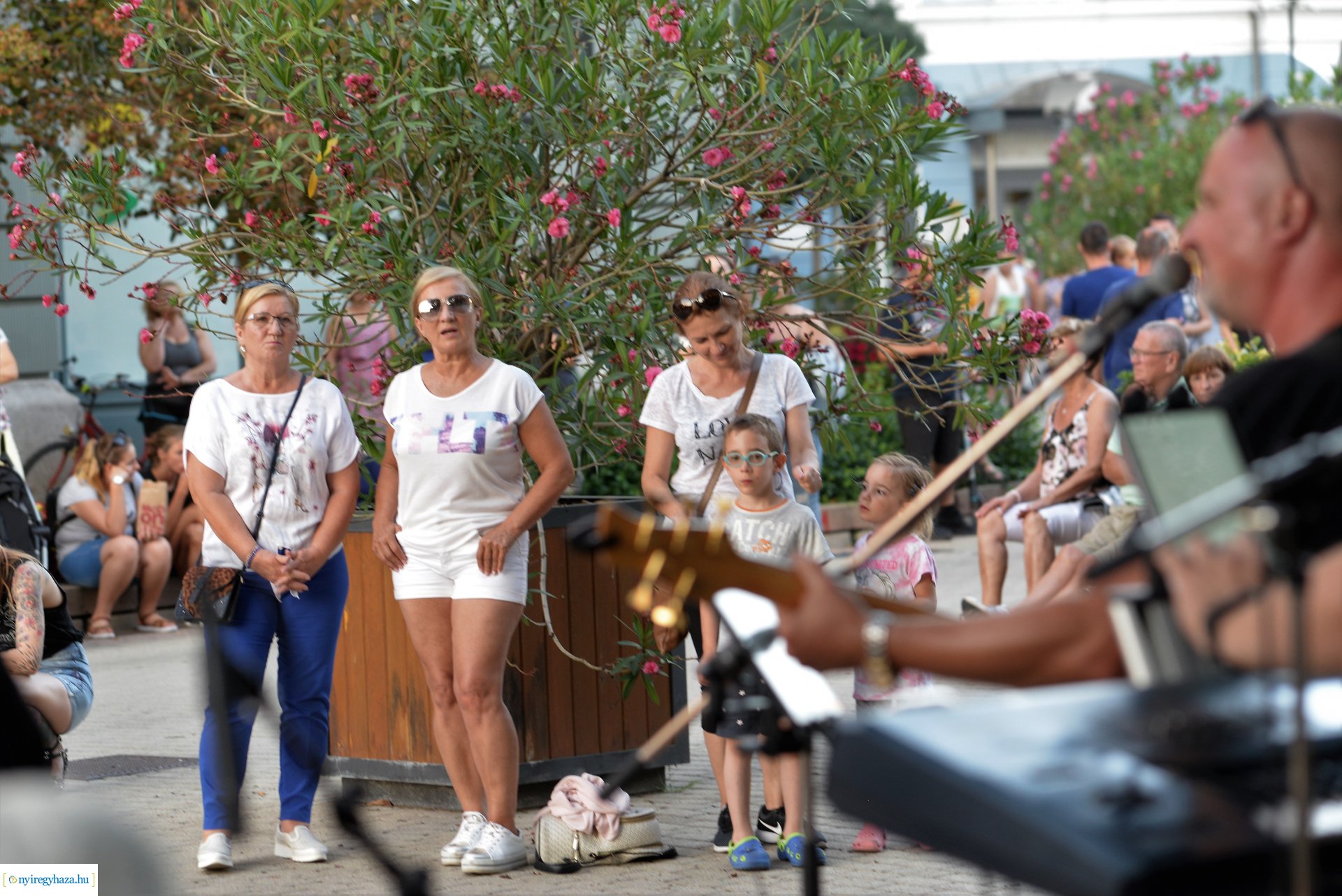 Téren-Nyáron - kedd este a Polip Band koncertezett