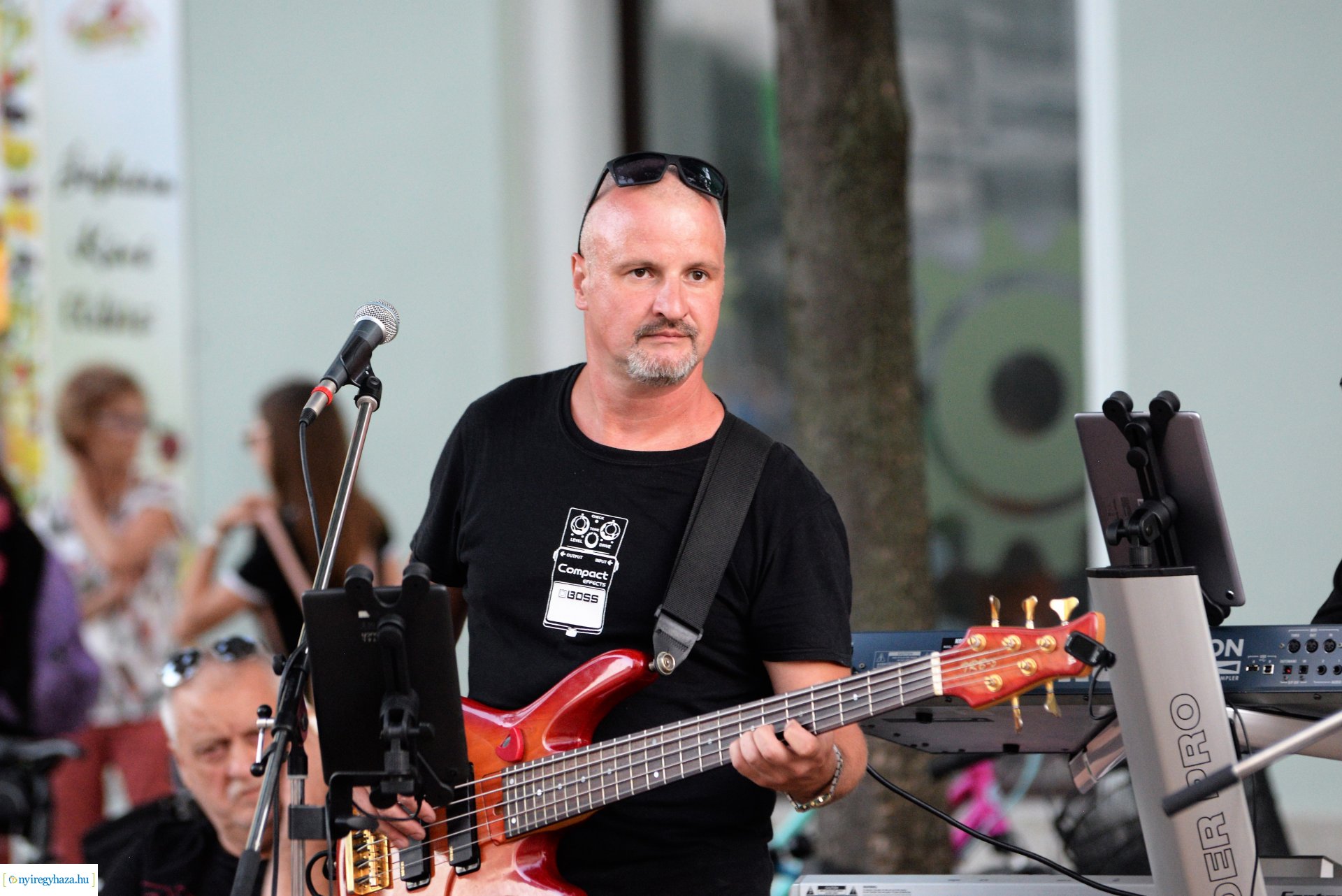 Téren-Nyáron - kedd este a Polip Band koncertezett
